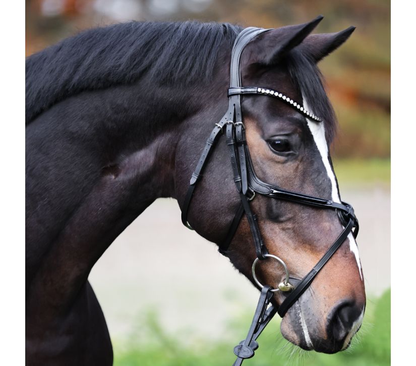 Snaffle "Lucia" mex.