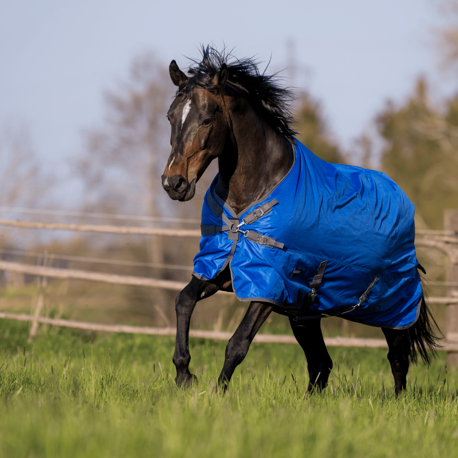 Windchill 100 outdoor blanket