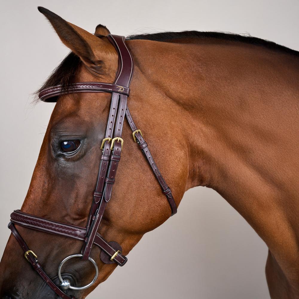 Geflochtene Trense mit kombiniertem Reithalfter DY | Dy'on