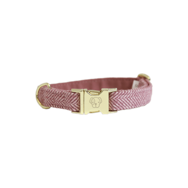 Wool dog collar