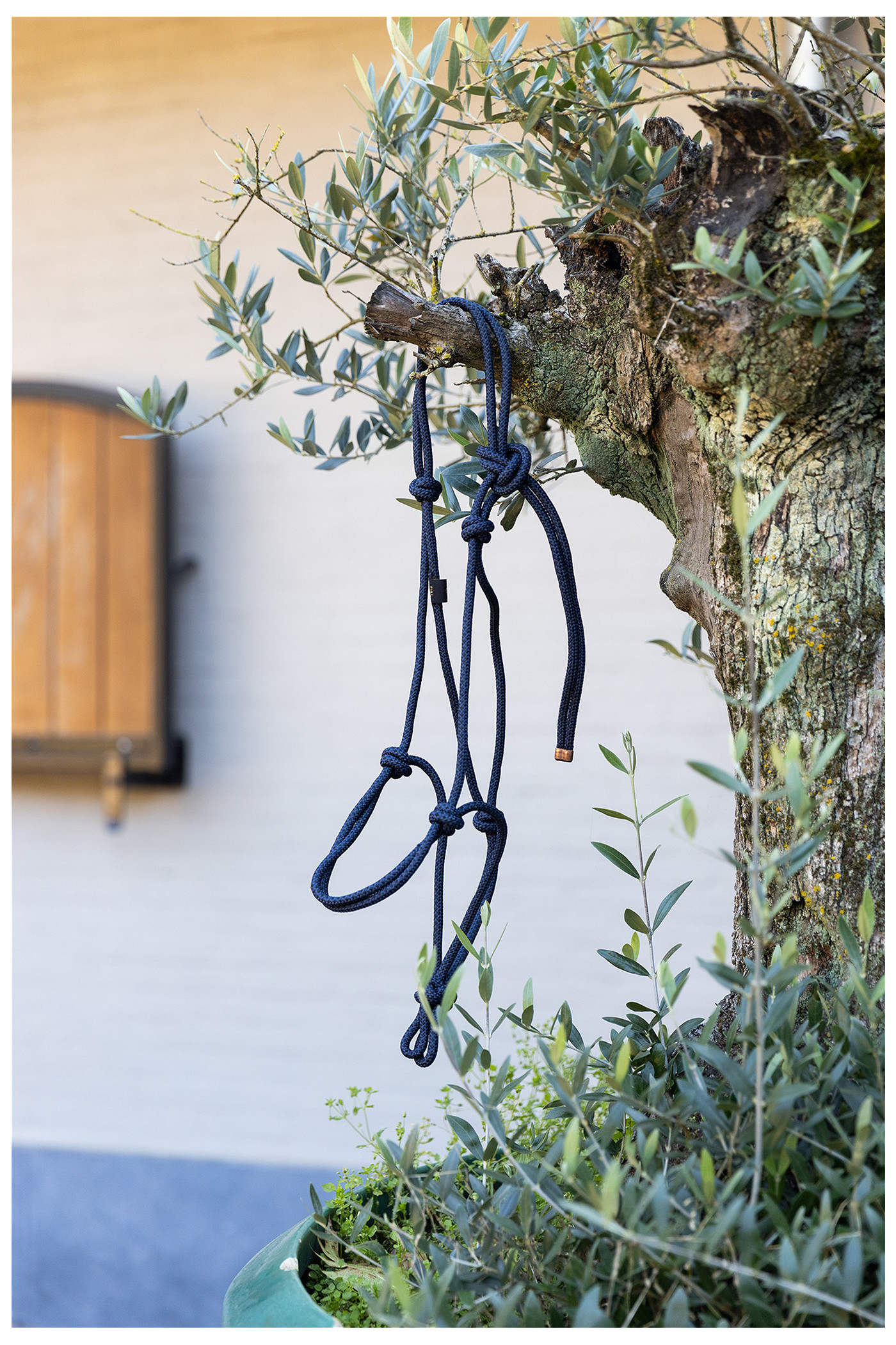 Knotted Halter Lore
