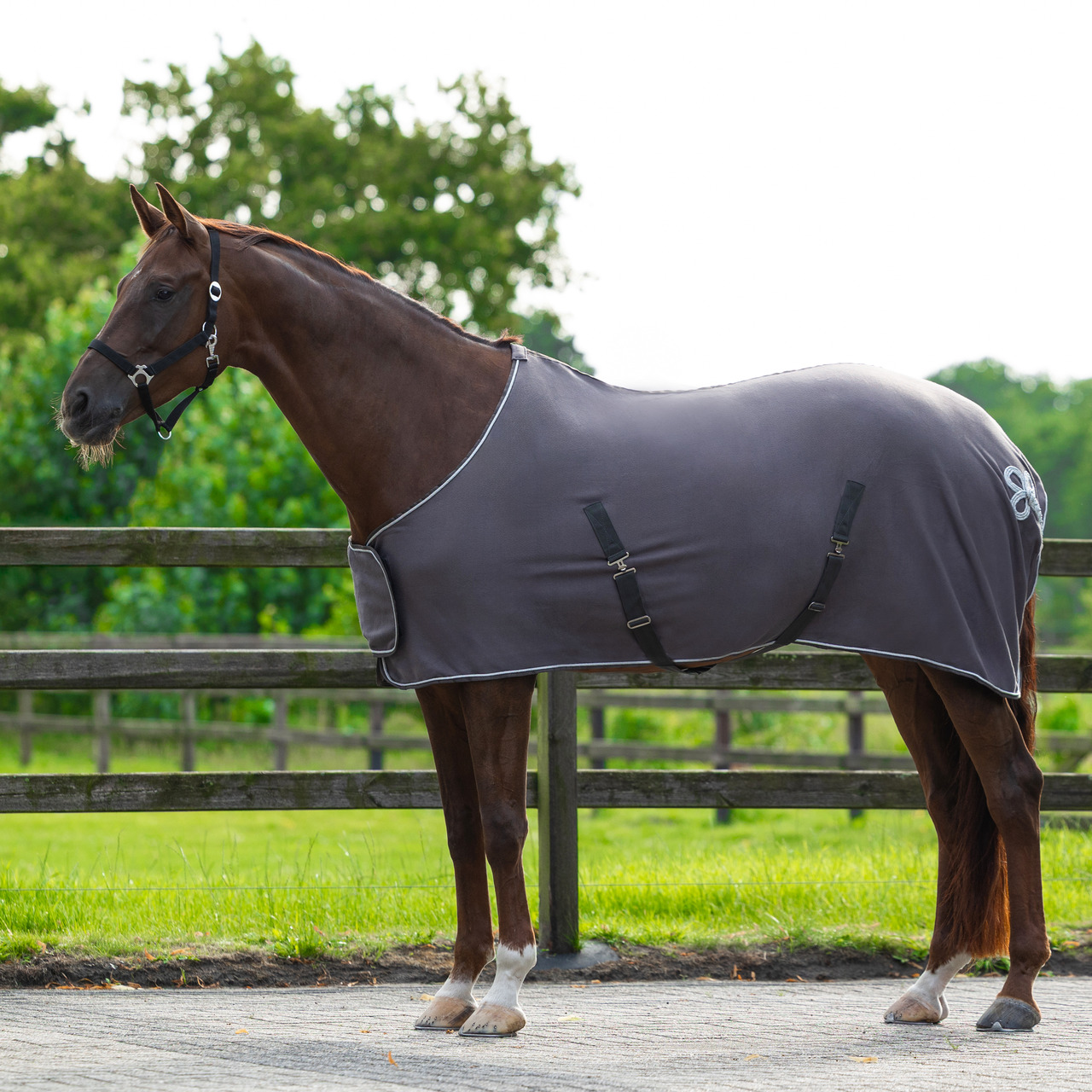 Abschwitzdecke mit Ornament