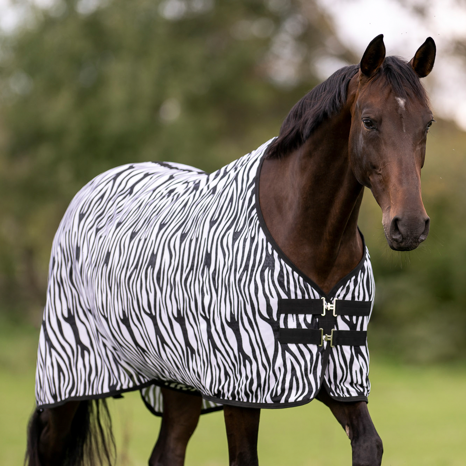 Outdoor-Fliegendecke Comfort Flexi Zebra