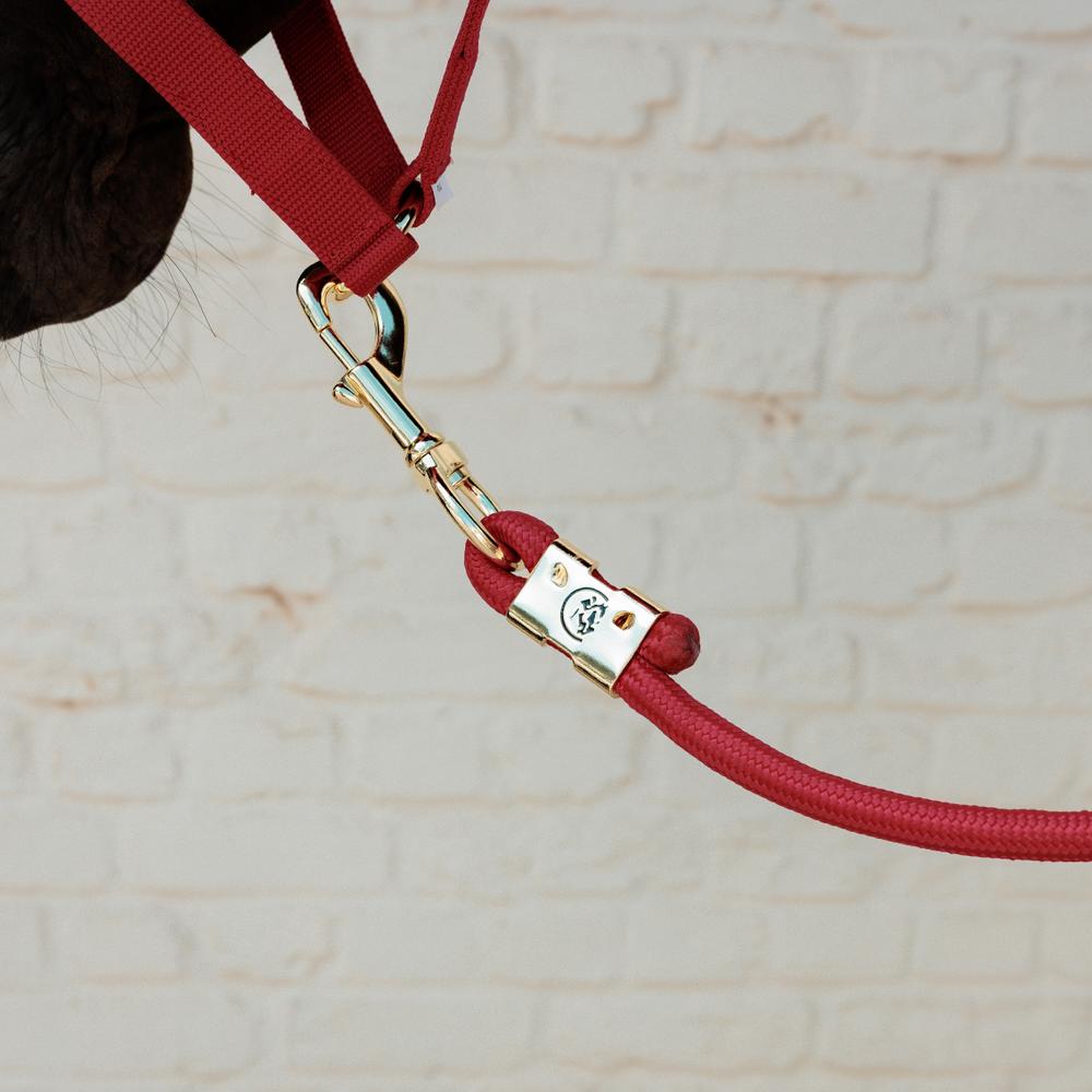 Lead rope Basic