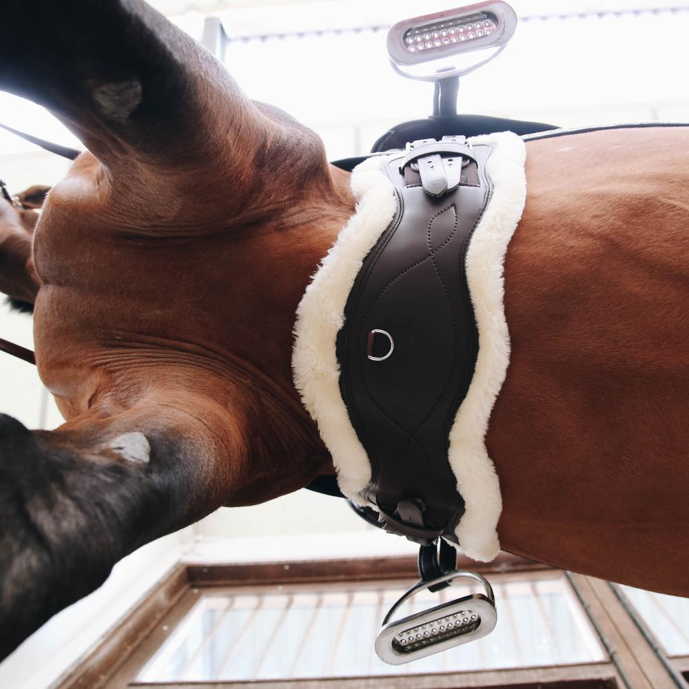 Lammfell Anatomische Kurzgurt