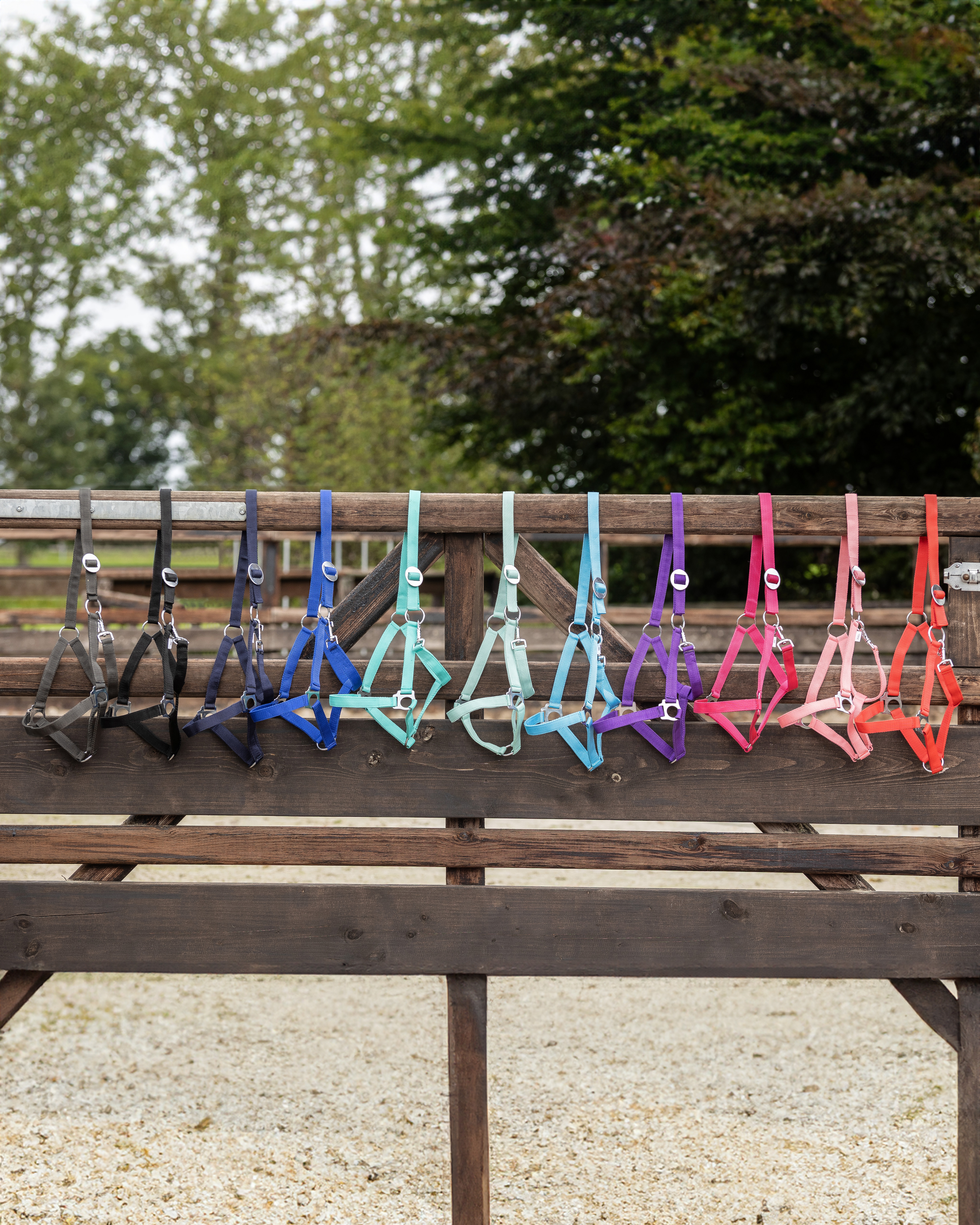 Halfter mit Schiebeschnalle