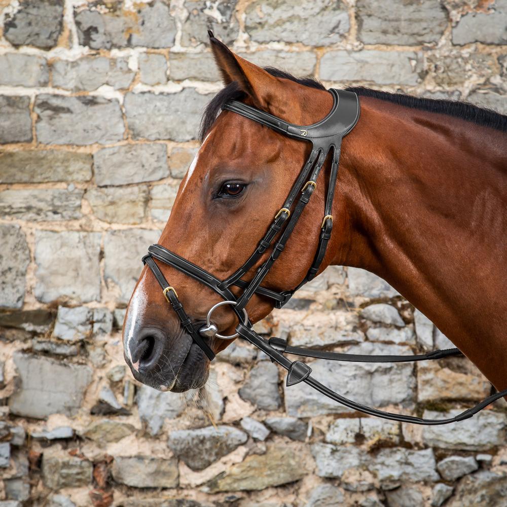 Difference-Kopfstück mit stirnriemen | Dy'on Difference-Kopfstück mit stirnriemen | Dy'on