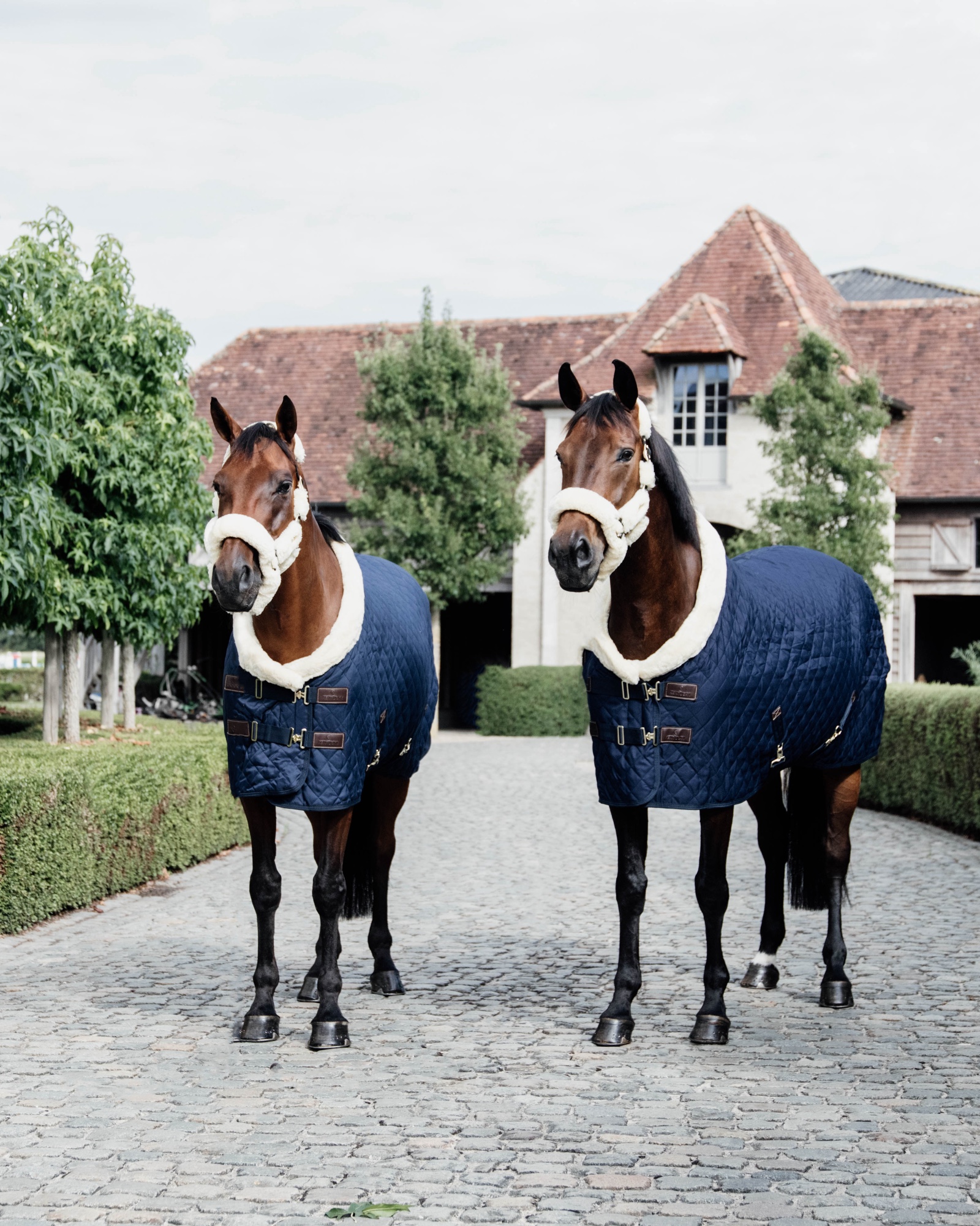 Show rug Show Rug 160g