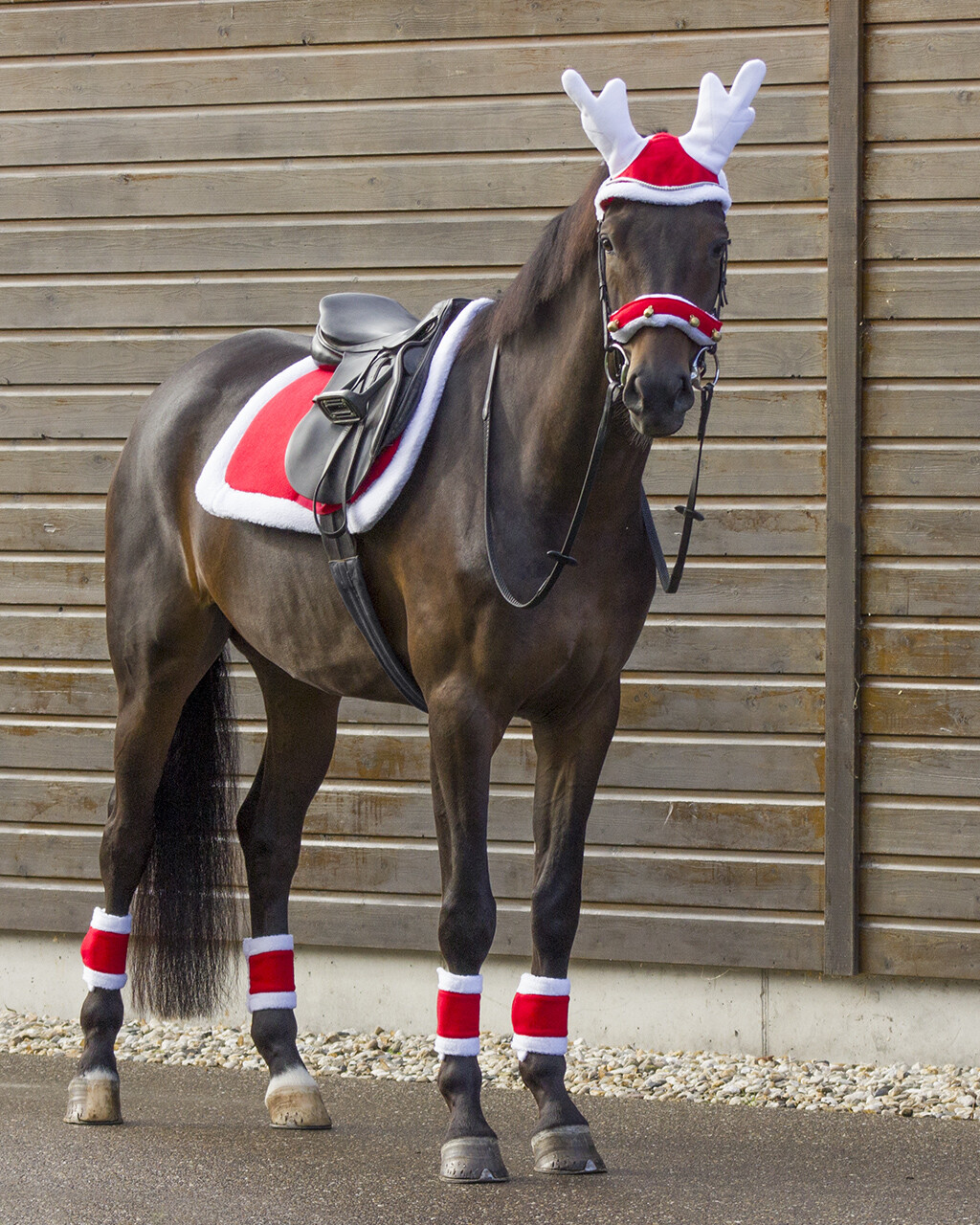 Saddle pad Christmas