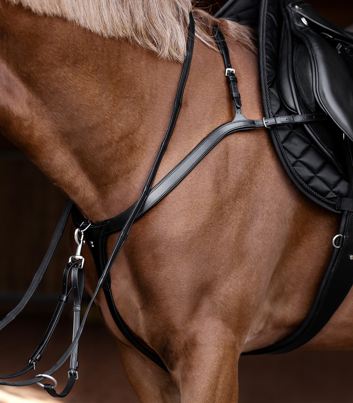 Waldhausen X-Line breastplate with long bridge