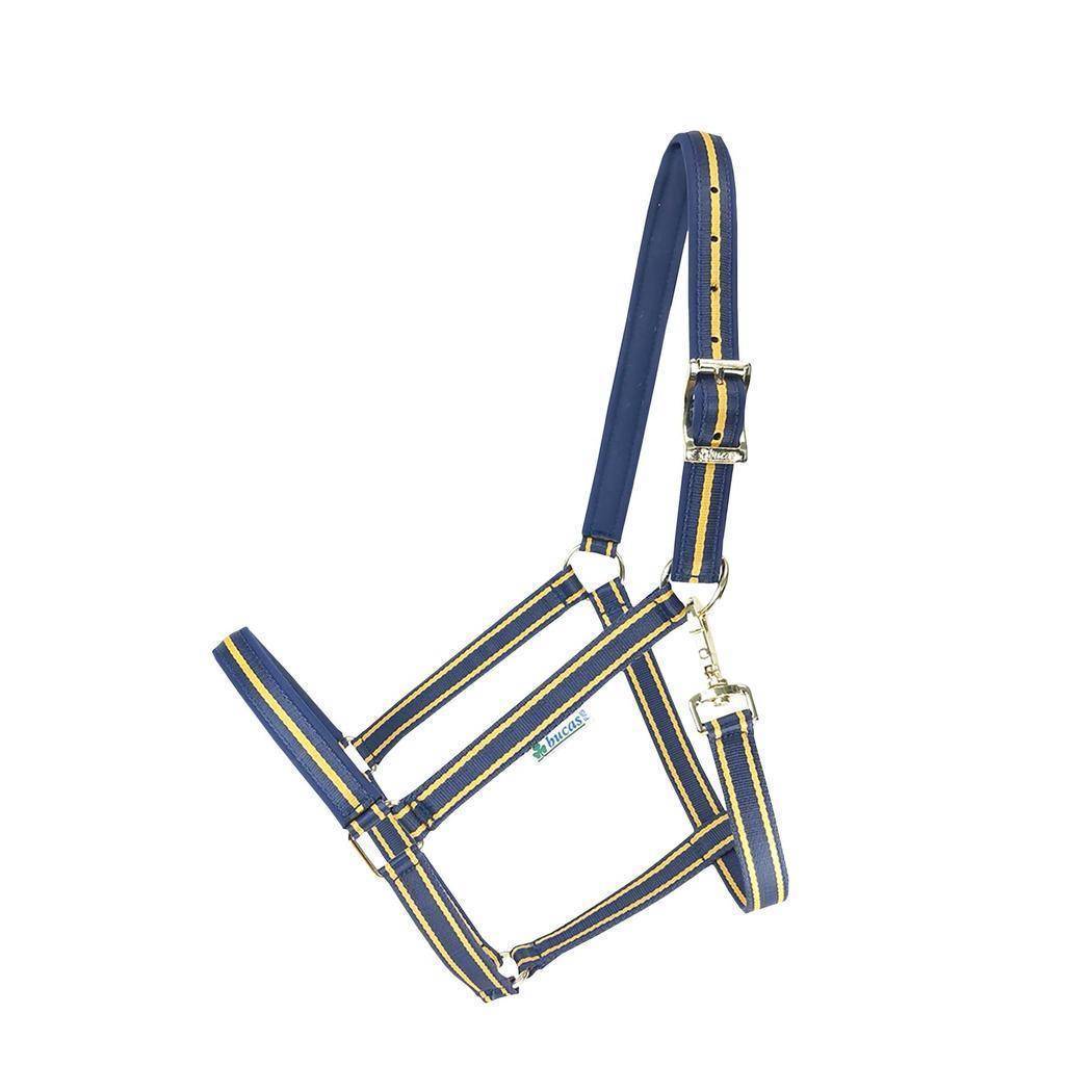 Halfter Dublin in Navy/Navy