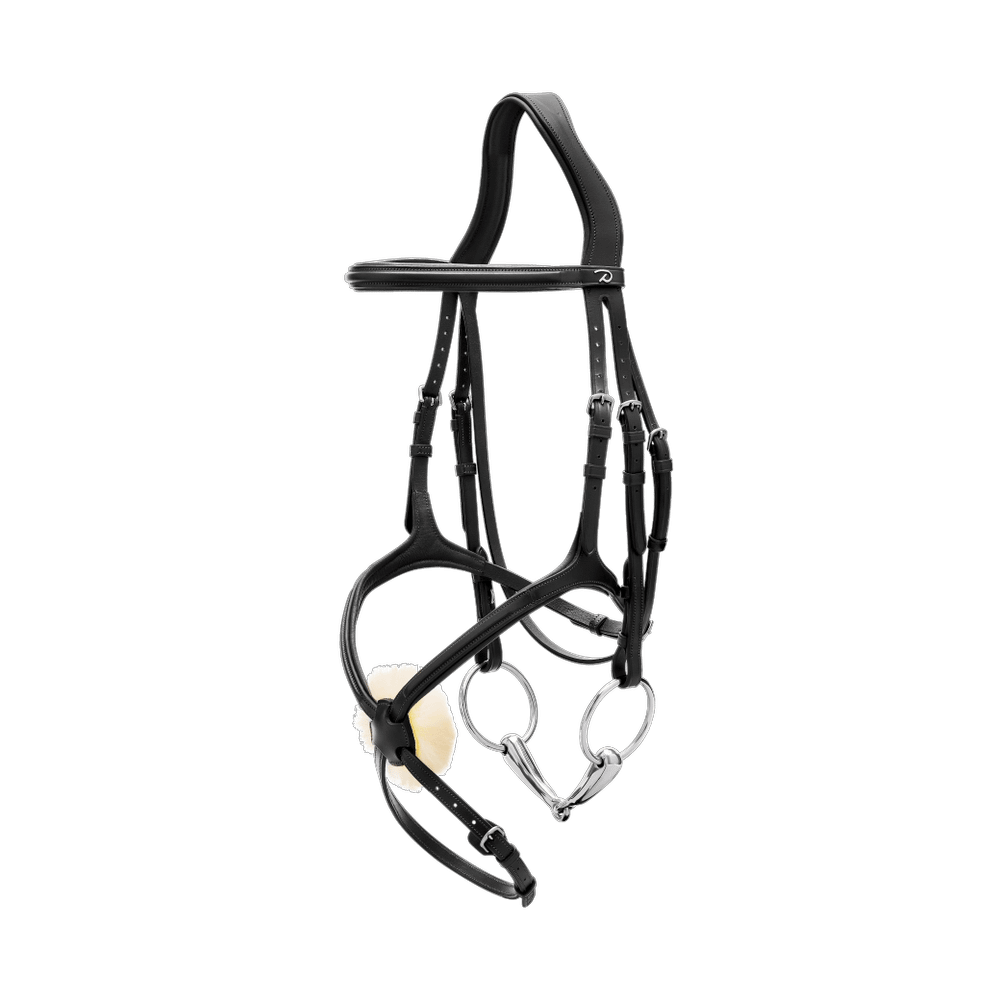 Trense mit mexikanischem Reithalfter NE