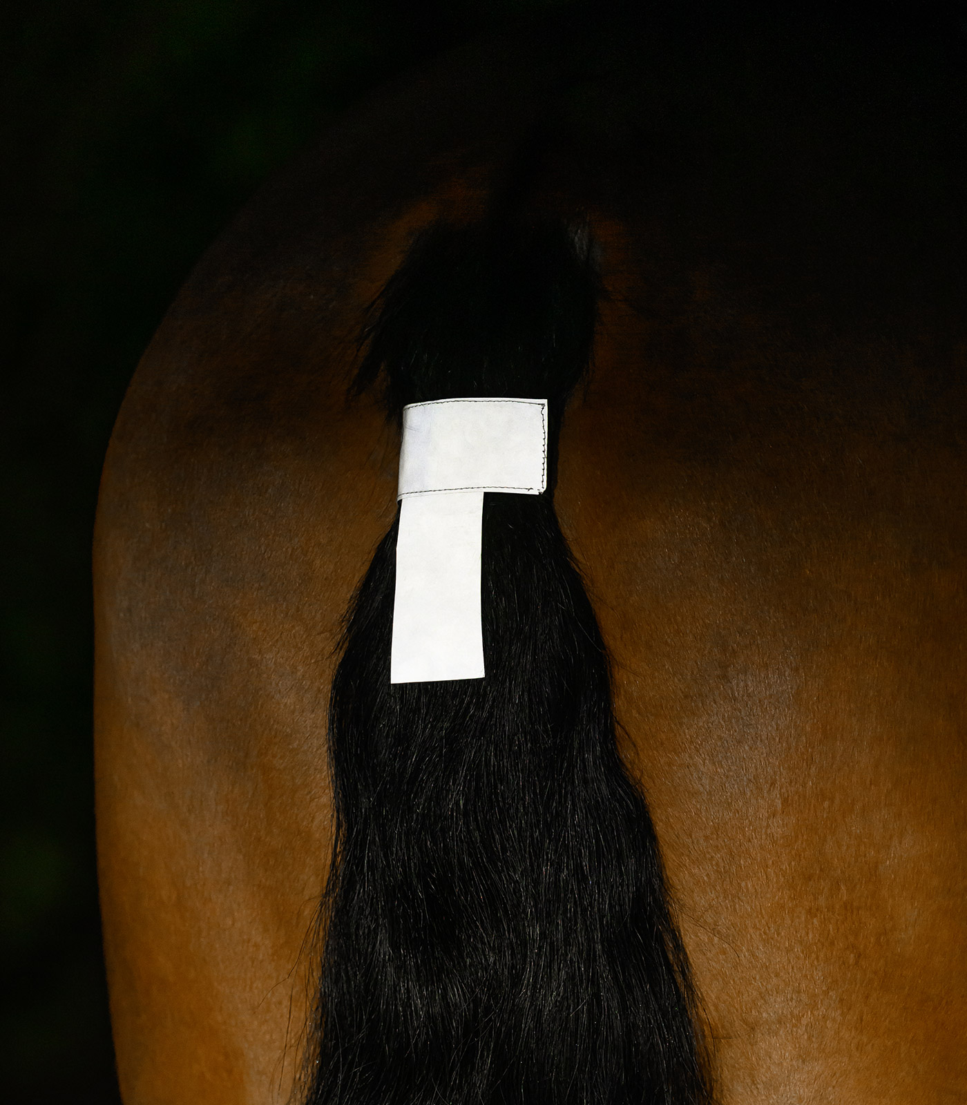Reflex Tail Band