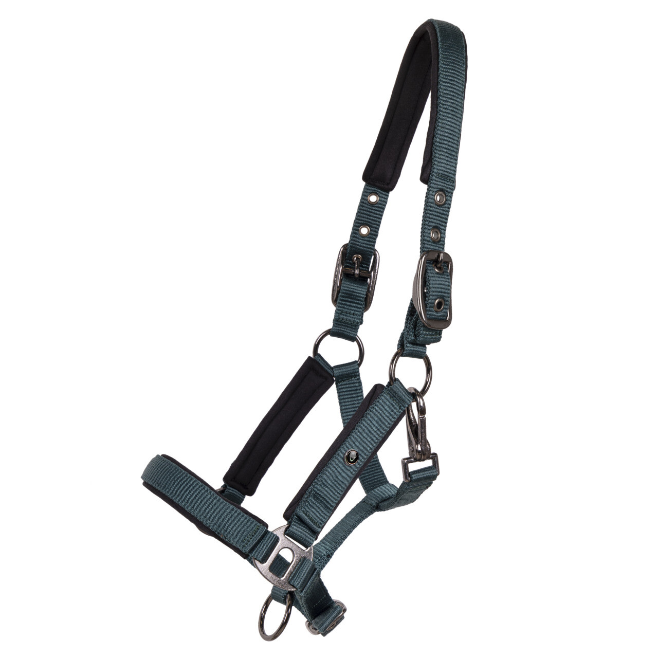 Fohlen Halfter Deluxe