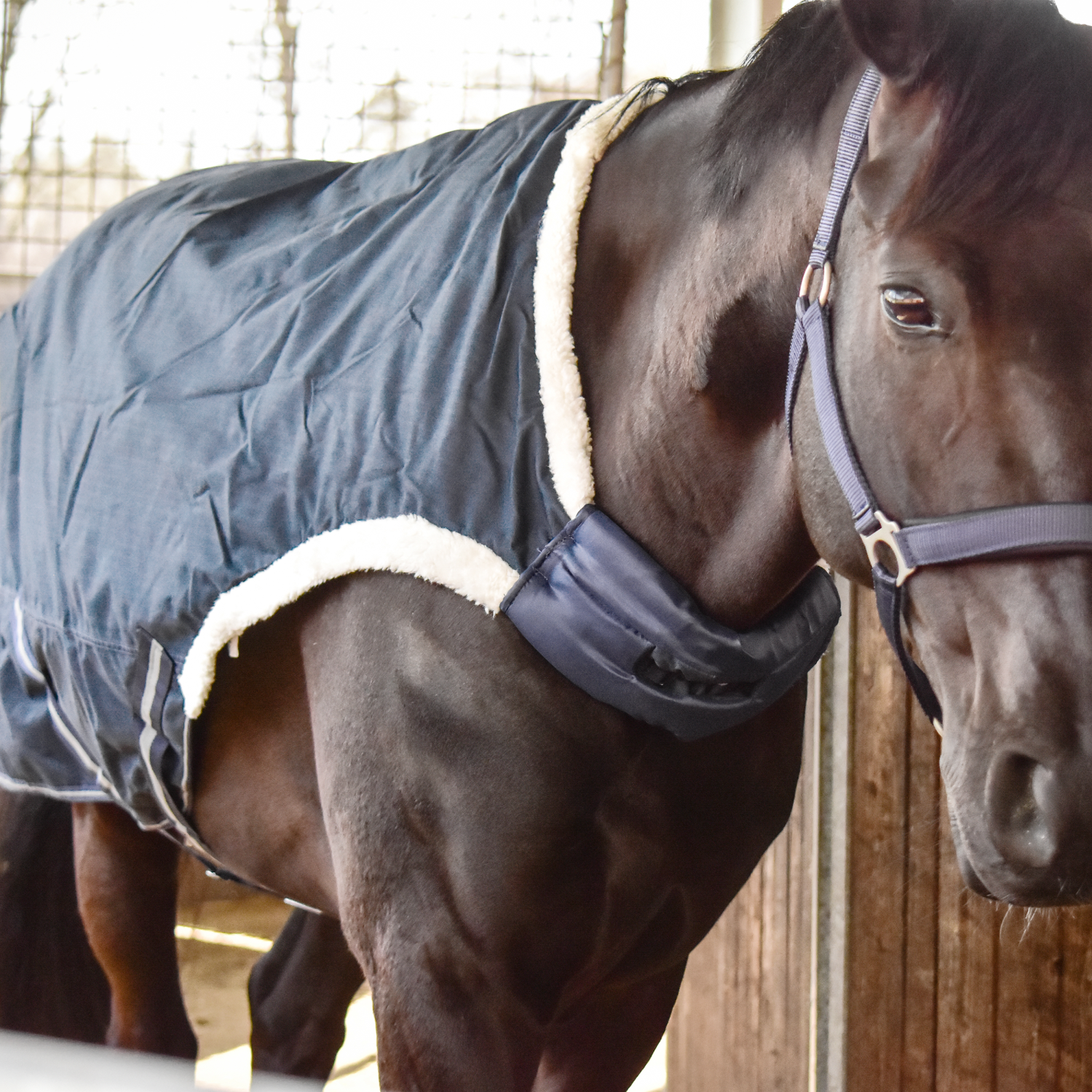 Horse walker rug Walking 100