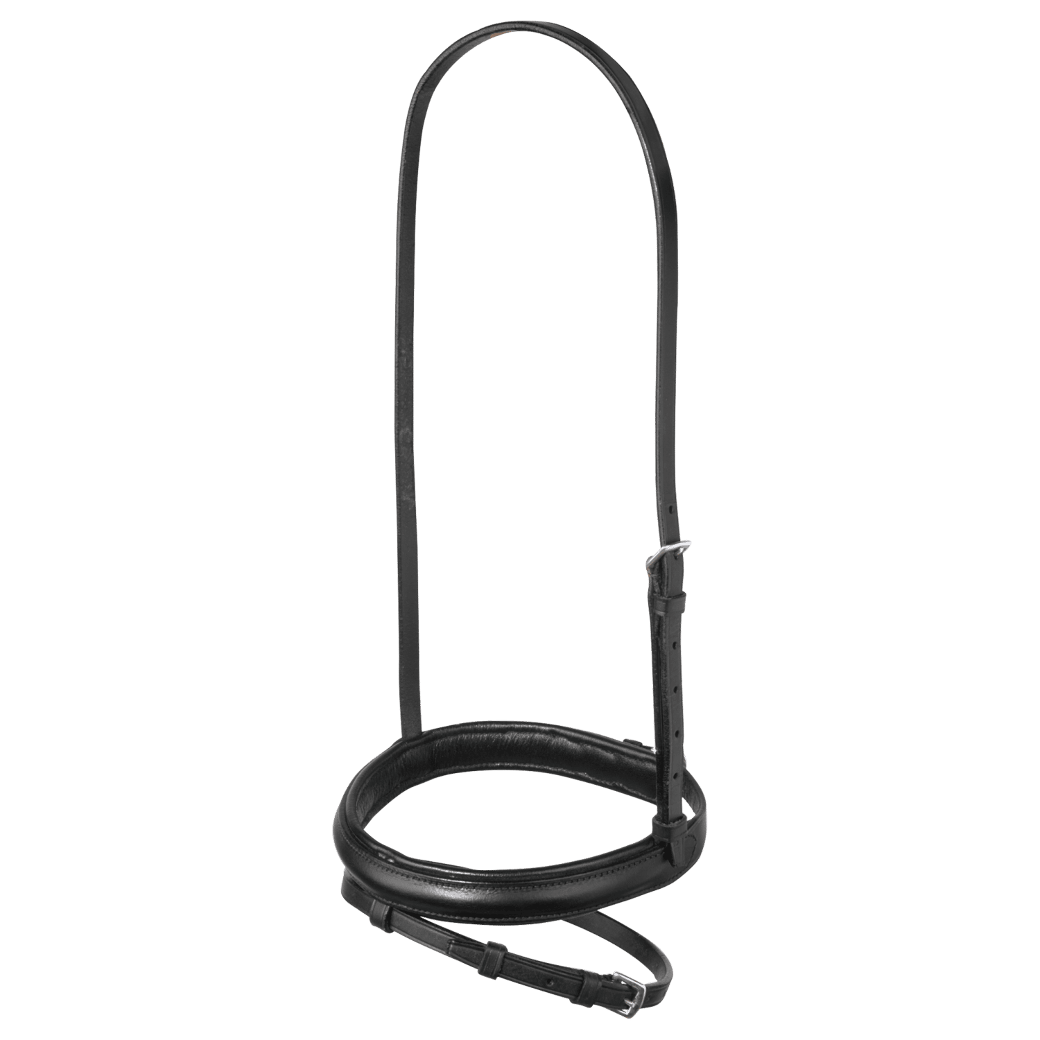 Reithalfter Englisch-Kombiniert