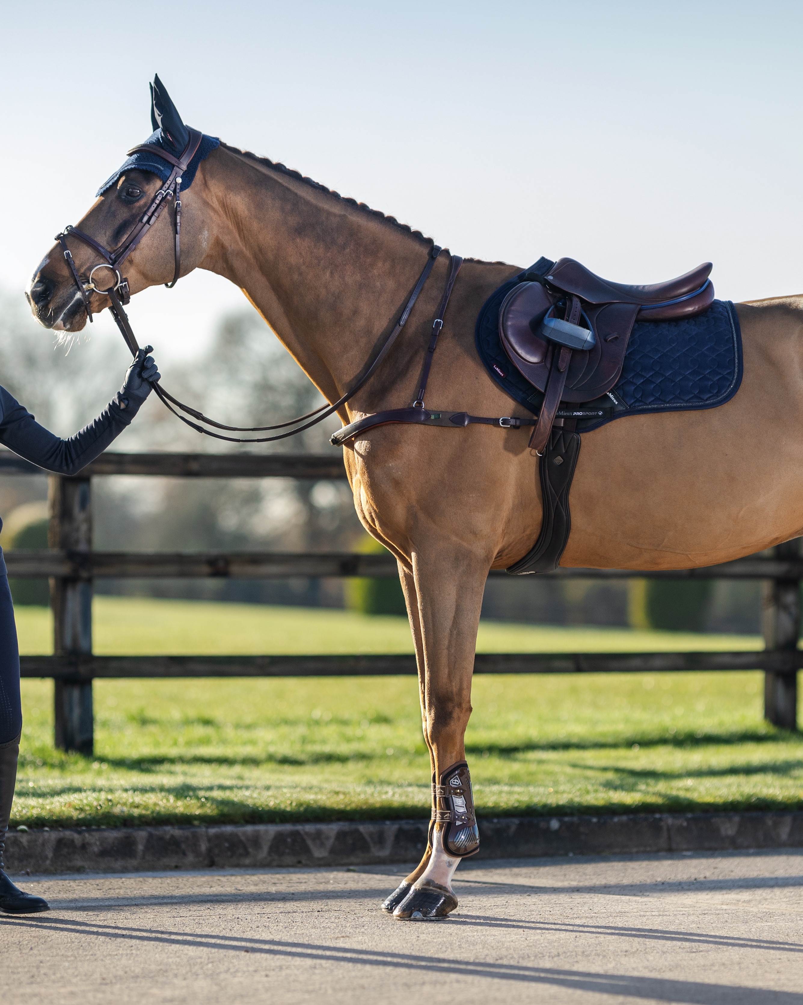 Saddle pad Crystal