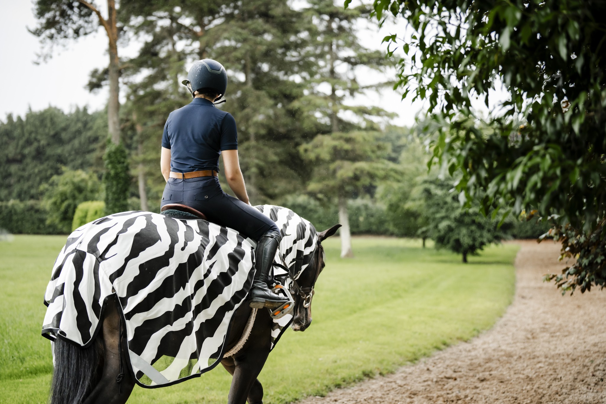 Fliegendecke Buzz-Off Riding in Zebra/Black