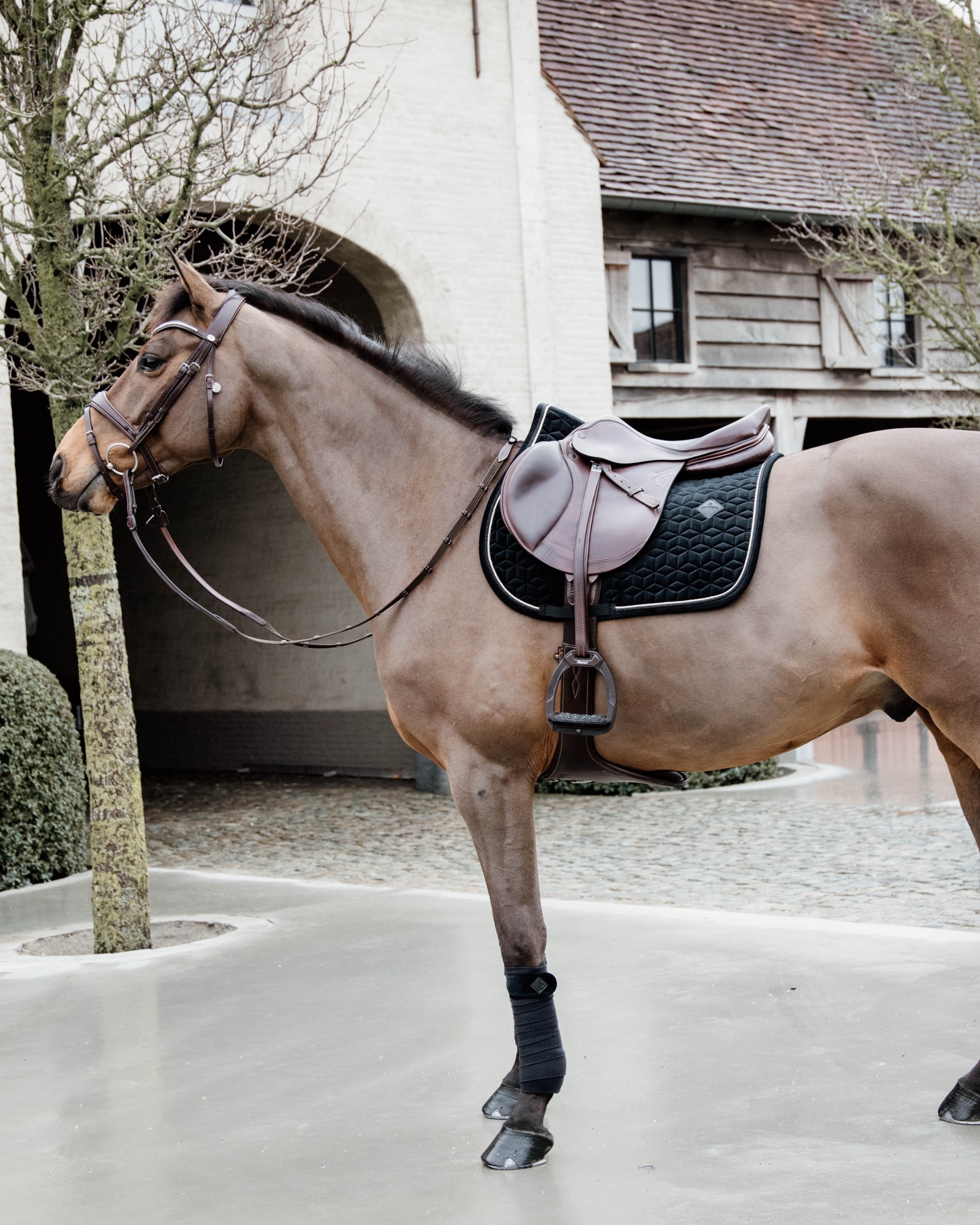 Jumping saddle pad Basic Velvet