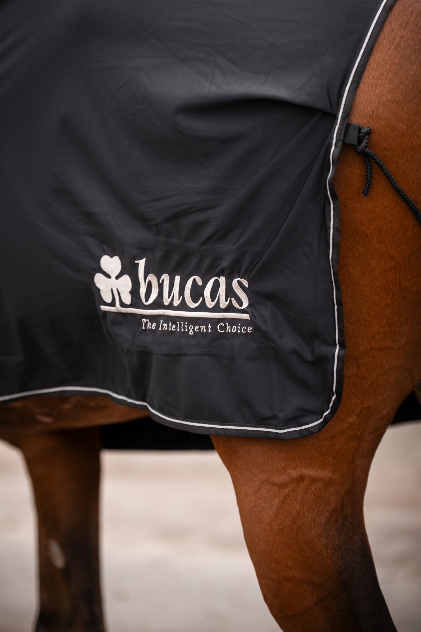 Abschwitzdecke Power Prize Cooler in Black/Silver Logo