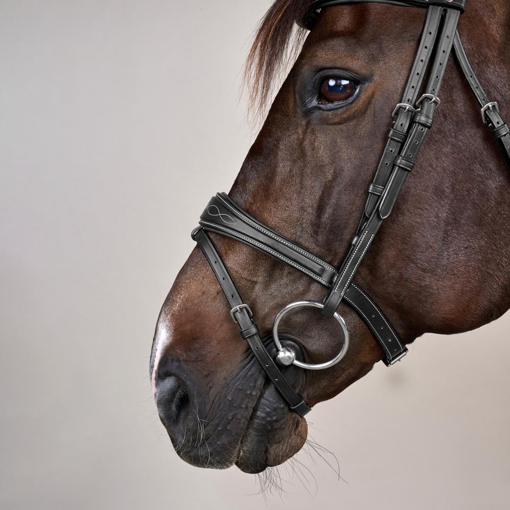 Bridon Hunter combiné