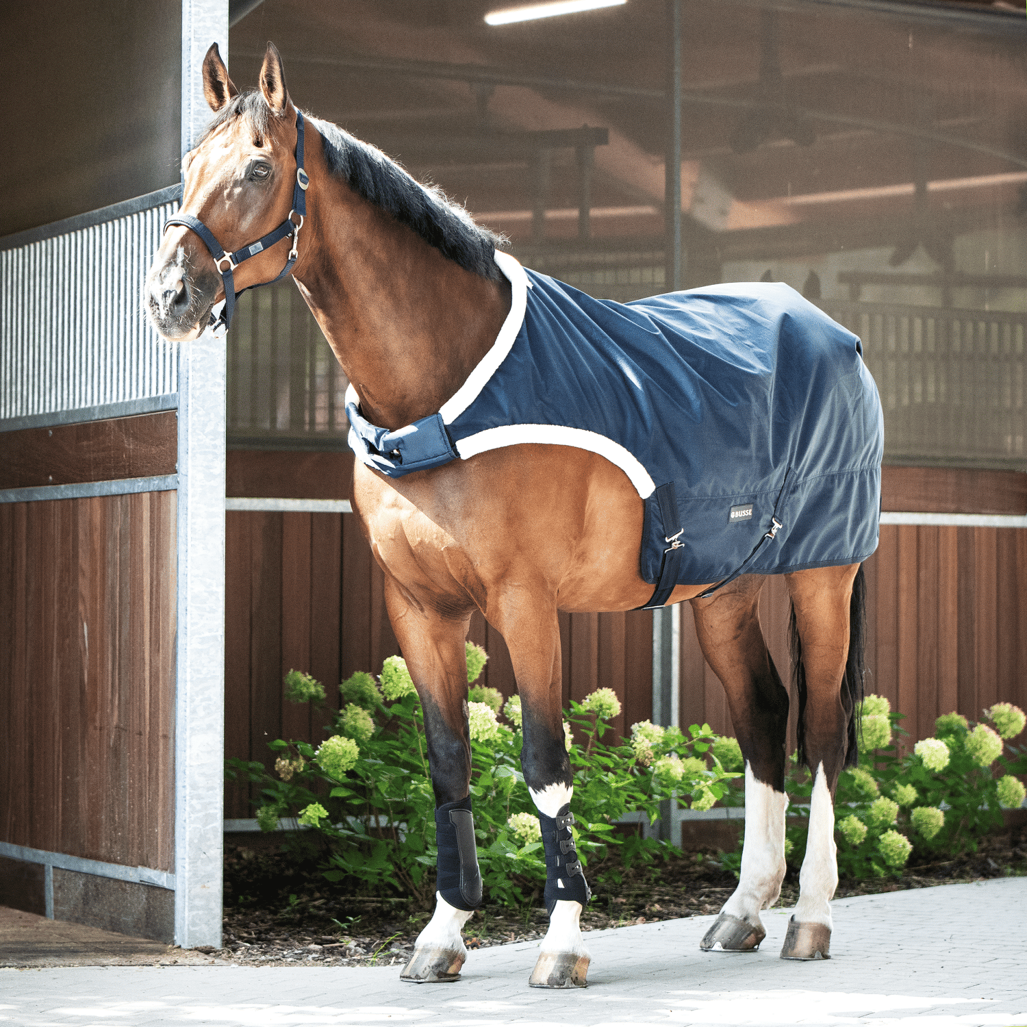 Horse walker rug Walking 100