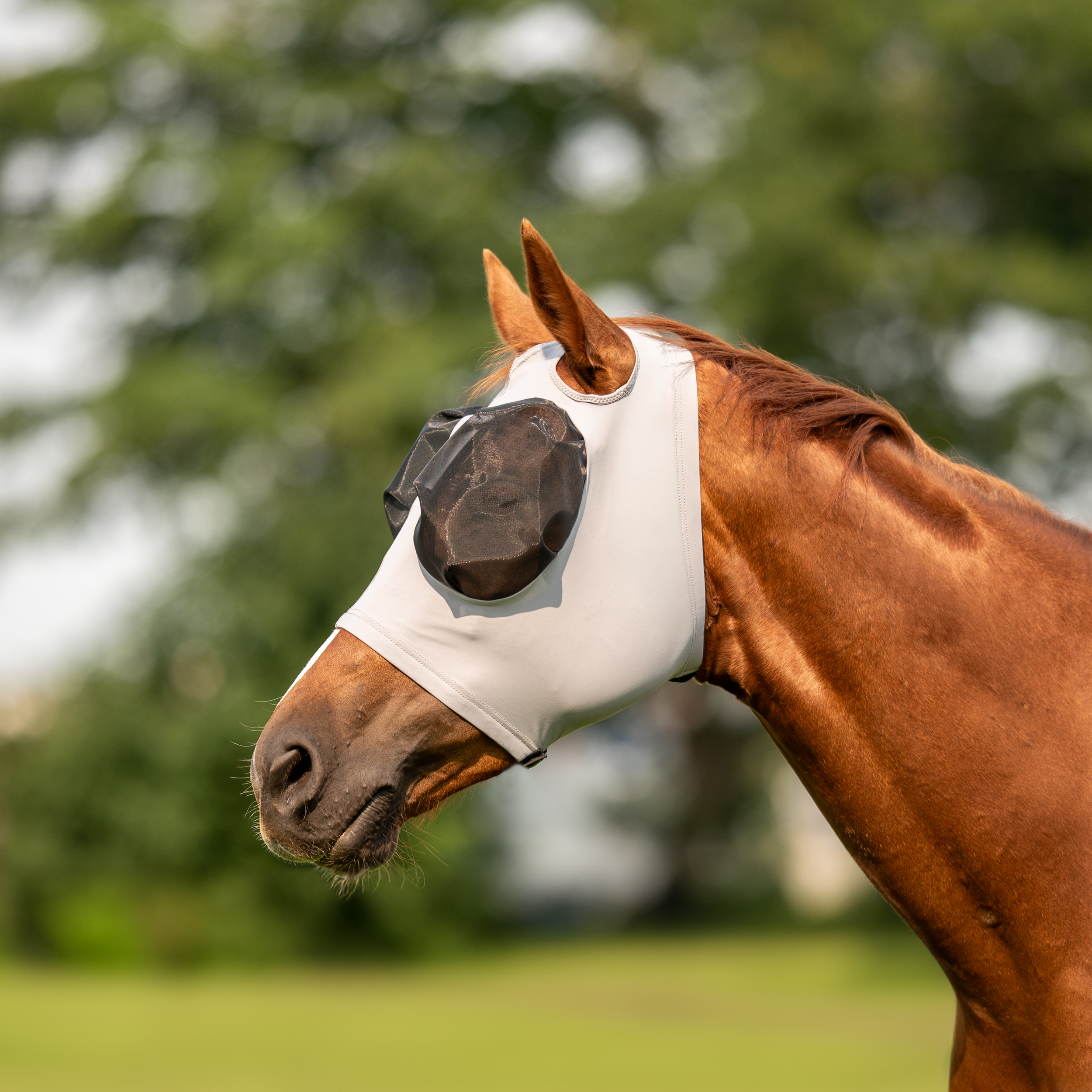 Fly mask TWIN FIT FLEXI OO