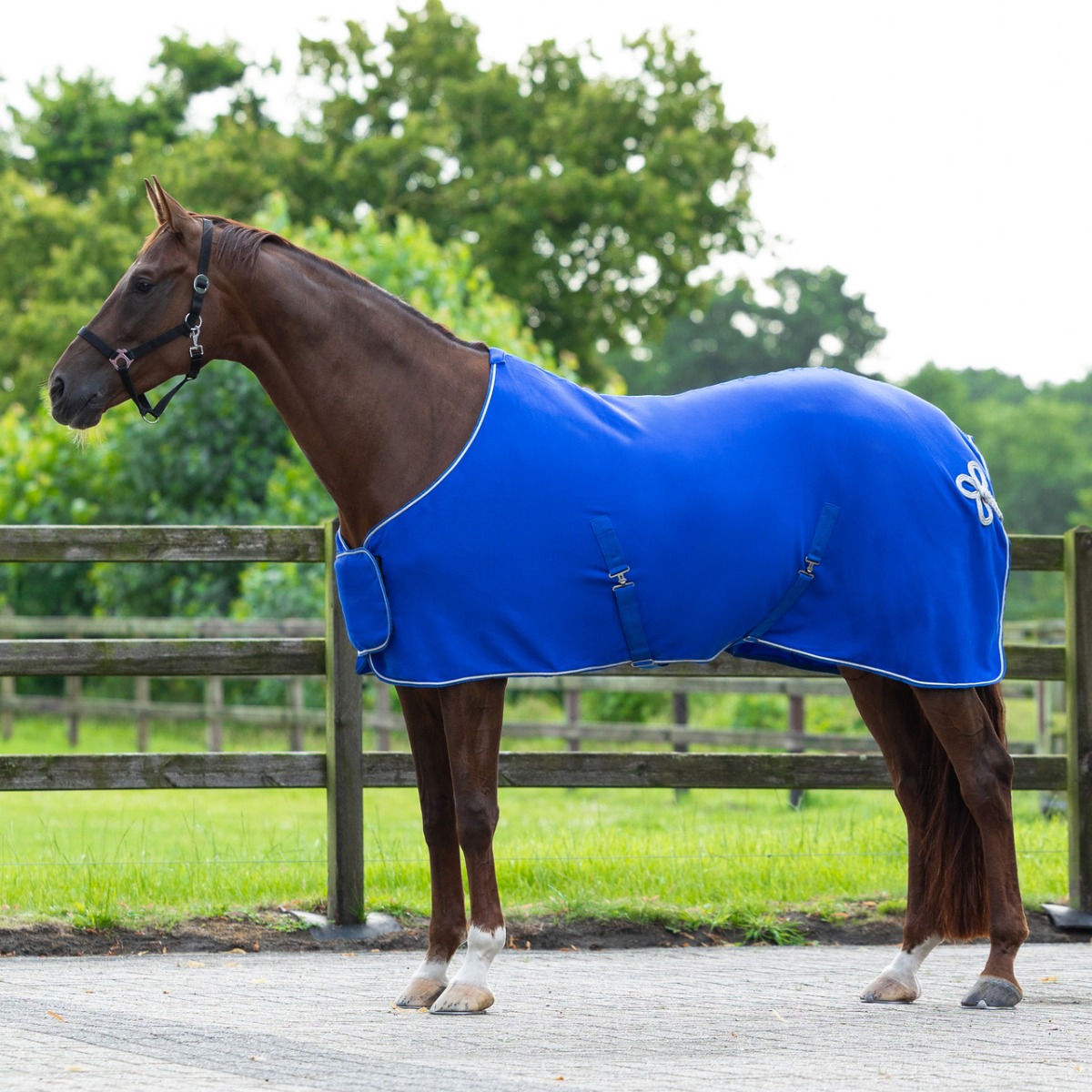 Abschwitzdecke mit Ornament