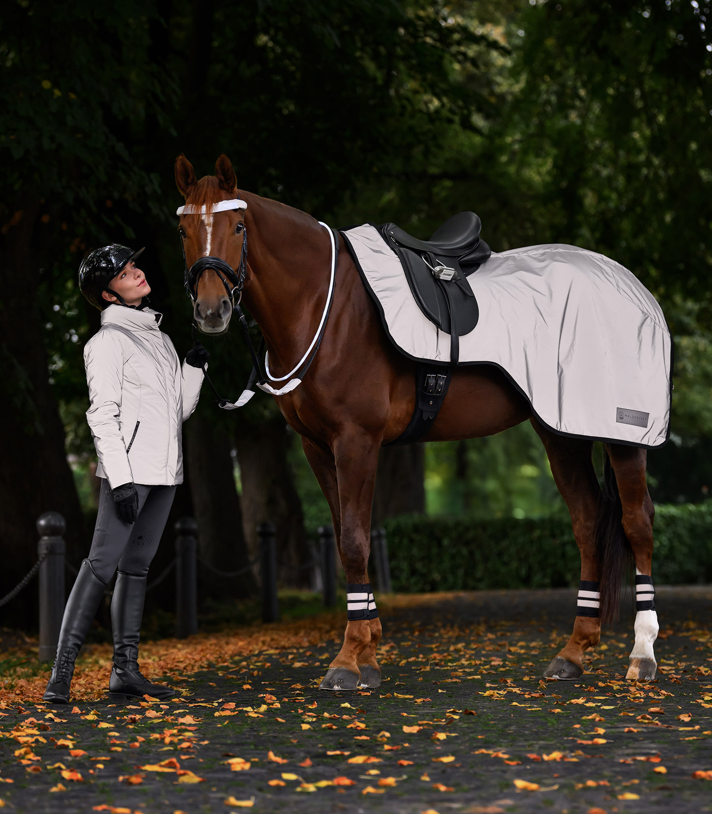 Breeches reflective