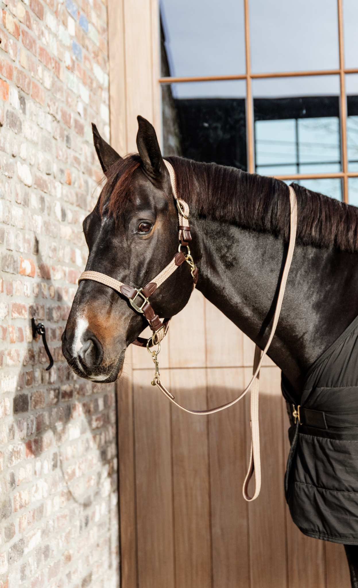 Halter Braided Nylon
