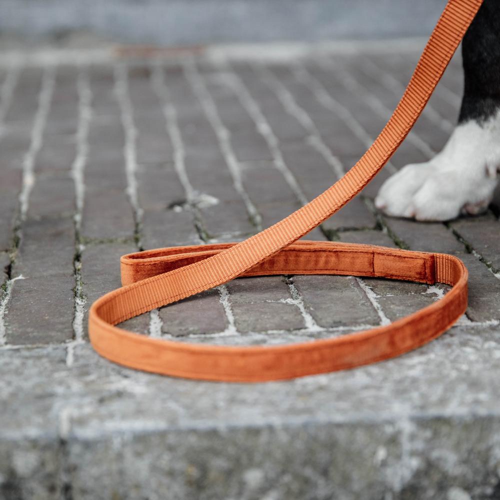 Dog lead Velvet 120 cm