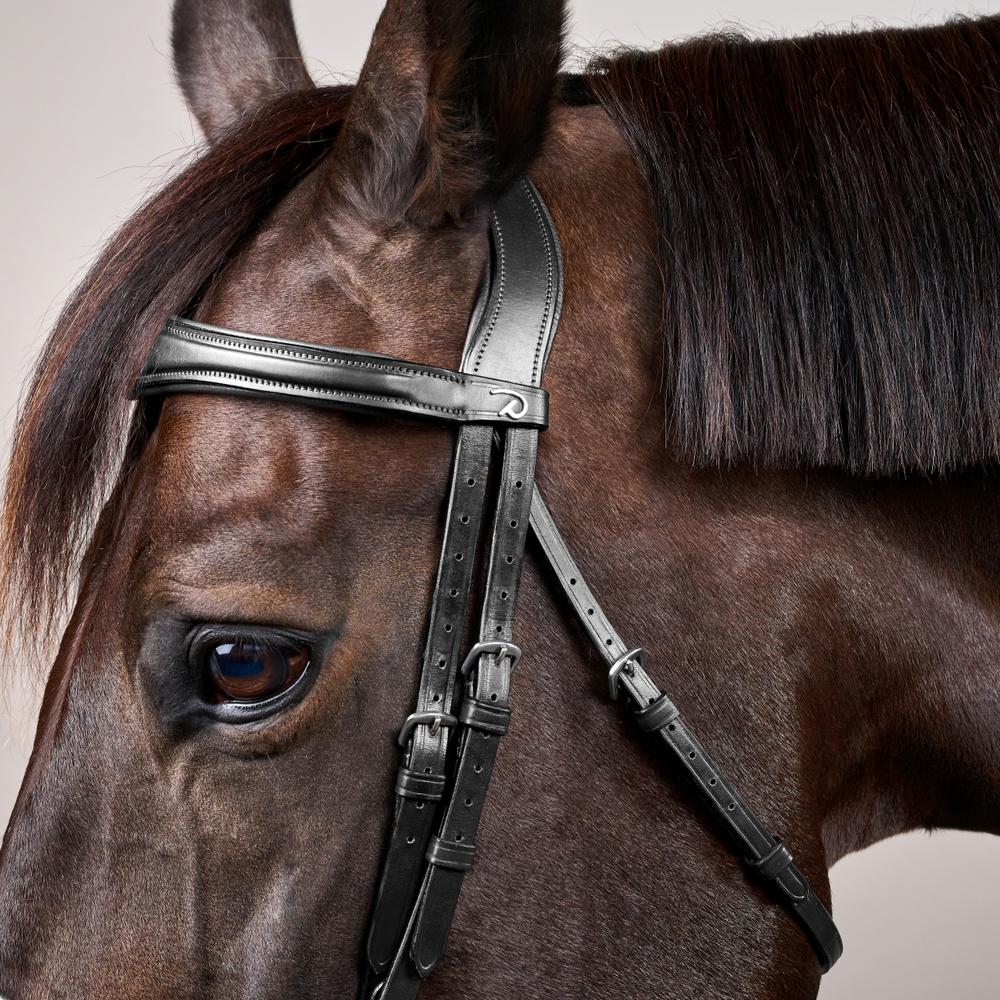 Anatomische Trense mit kombiniertem Reithalfter NE