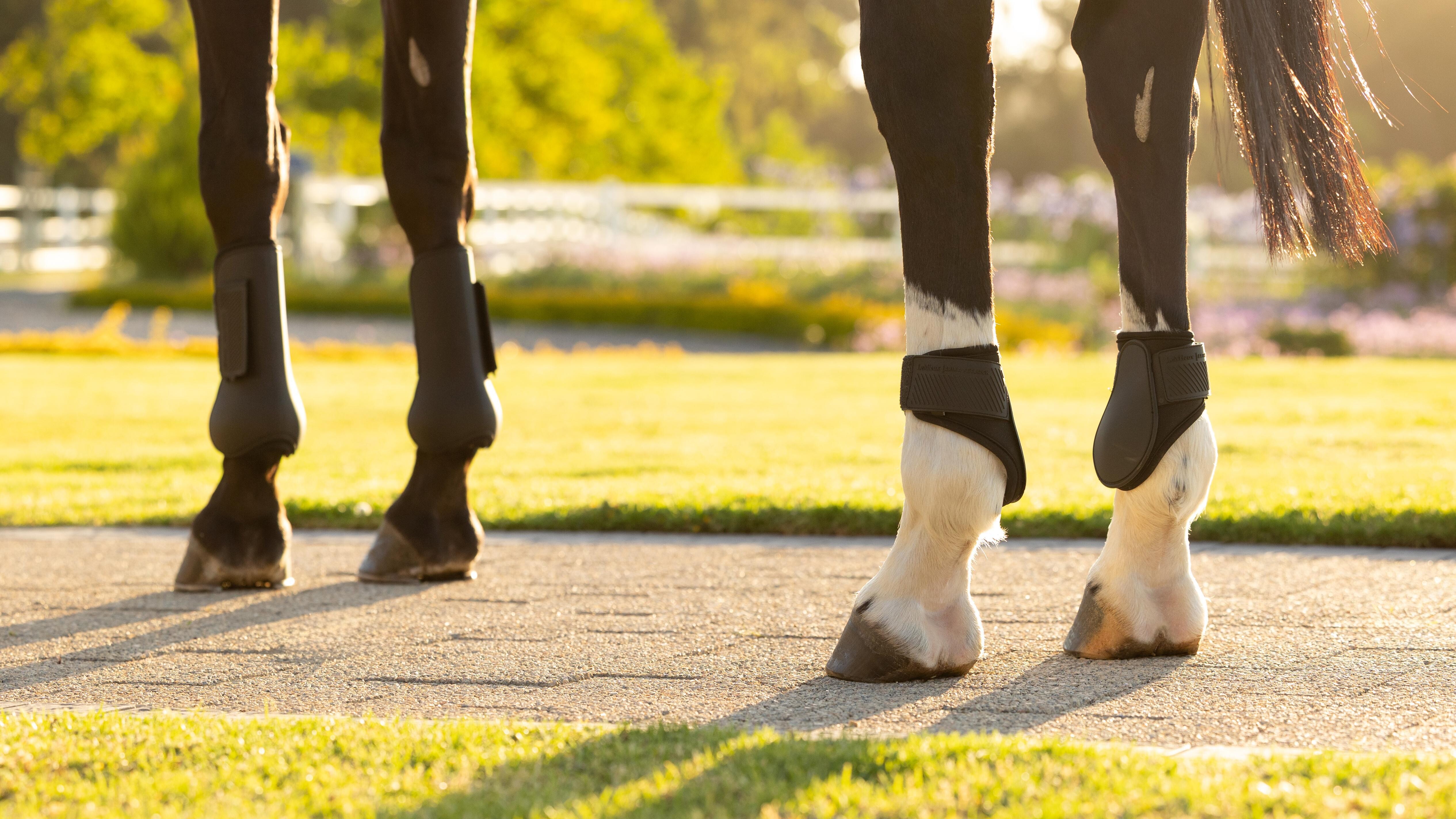 Arika Fetlock Gamasche
