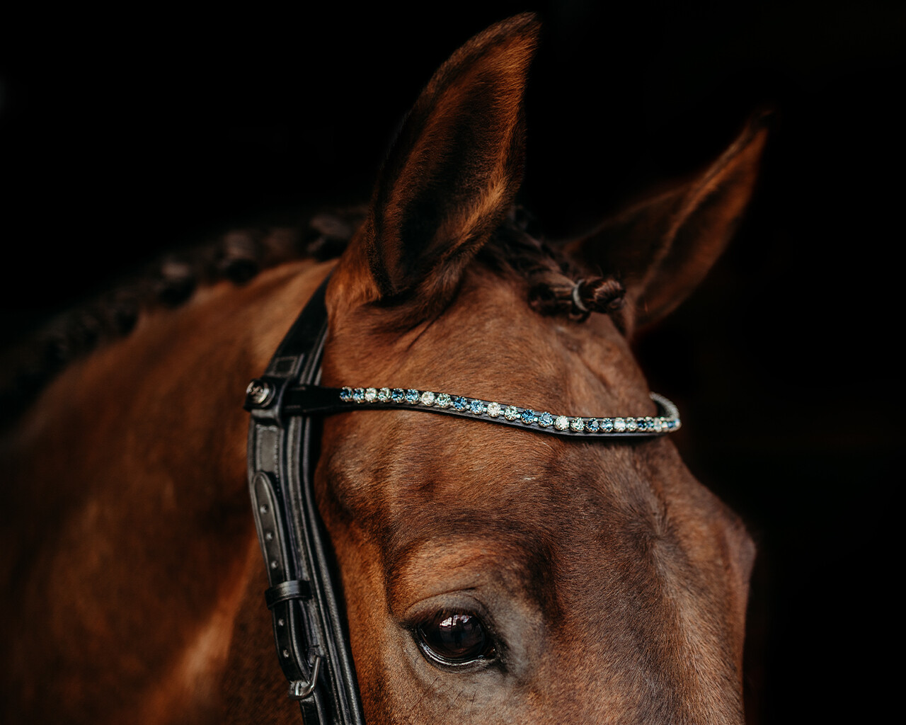 Browband ShineBright