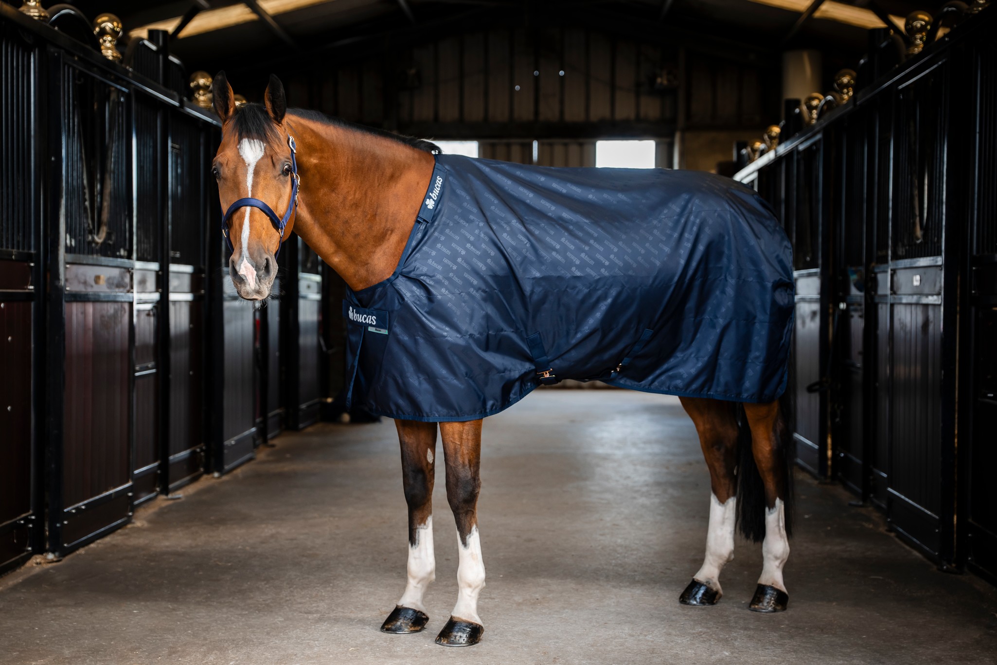 Stalldecke Stable Sheet in Navy/Navy