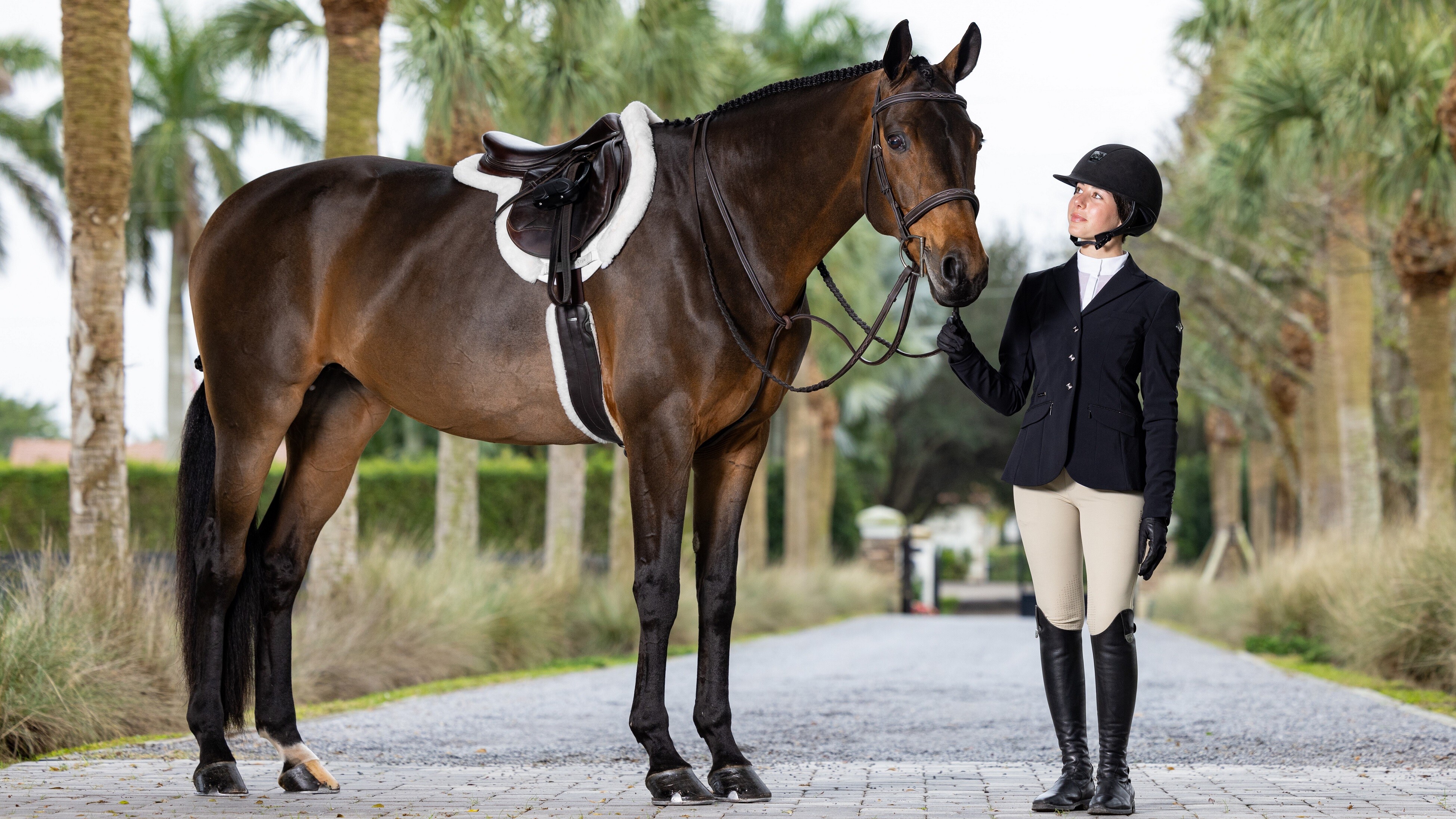 Merino+ ProSorb Hunter Satteldecke