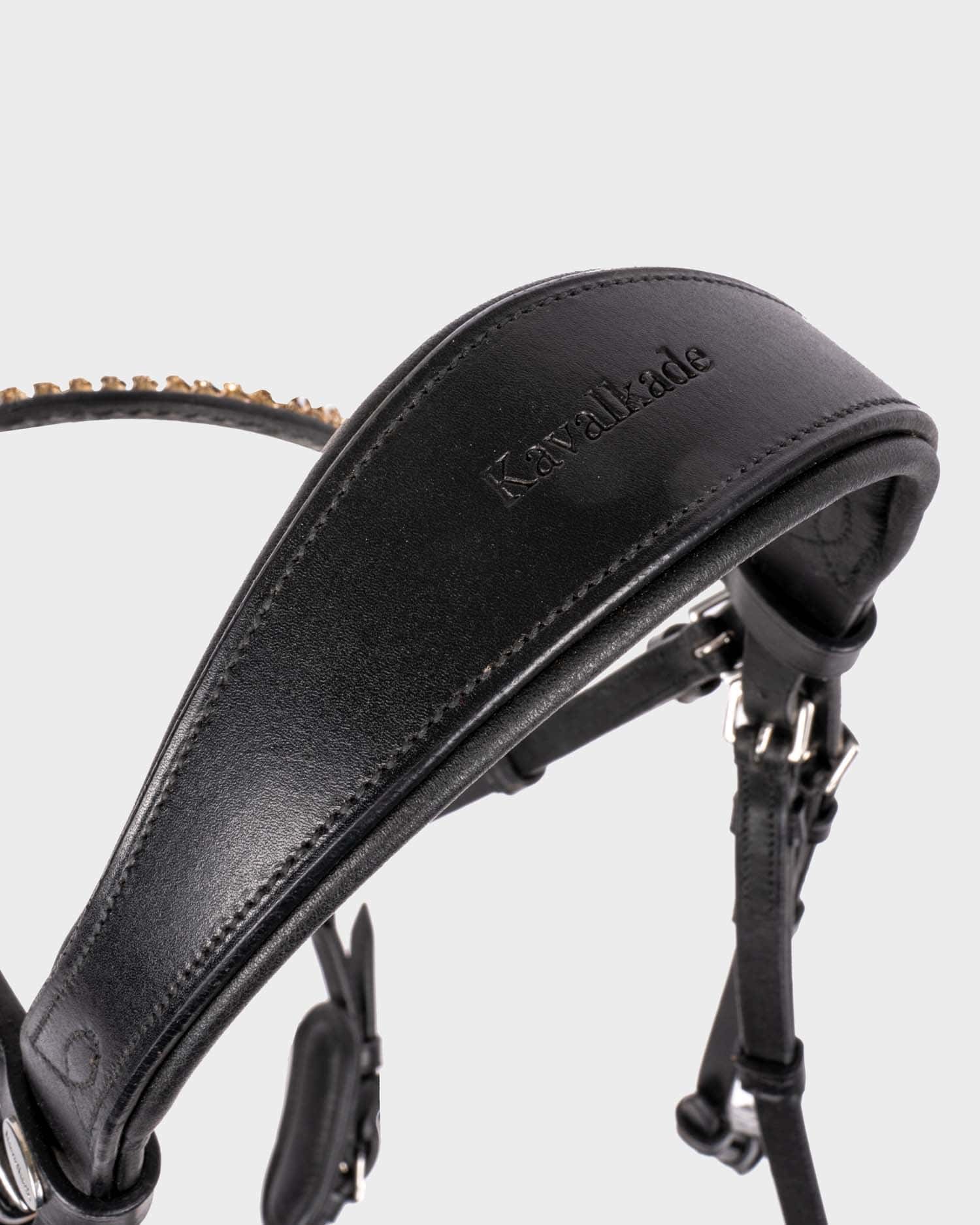 Snaffle "Fiala" hann.