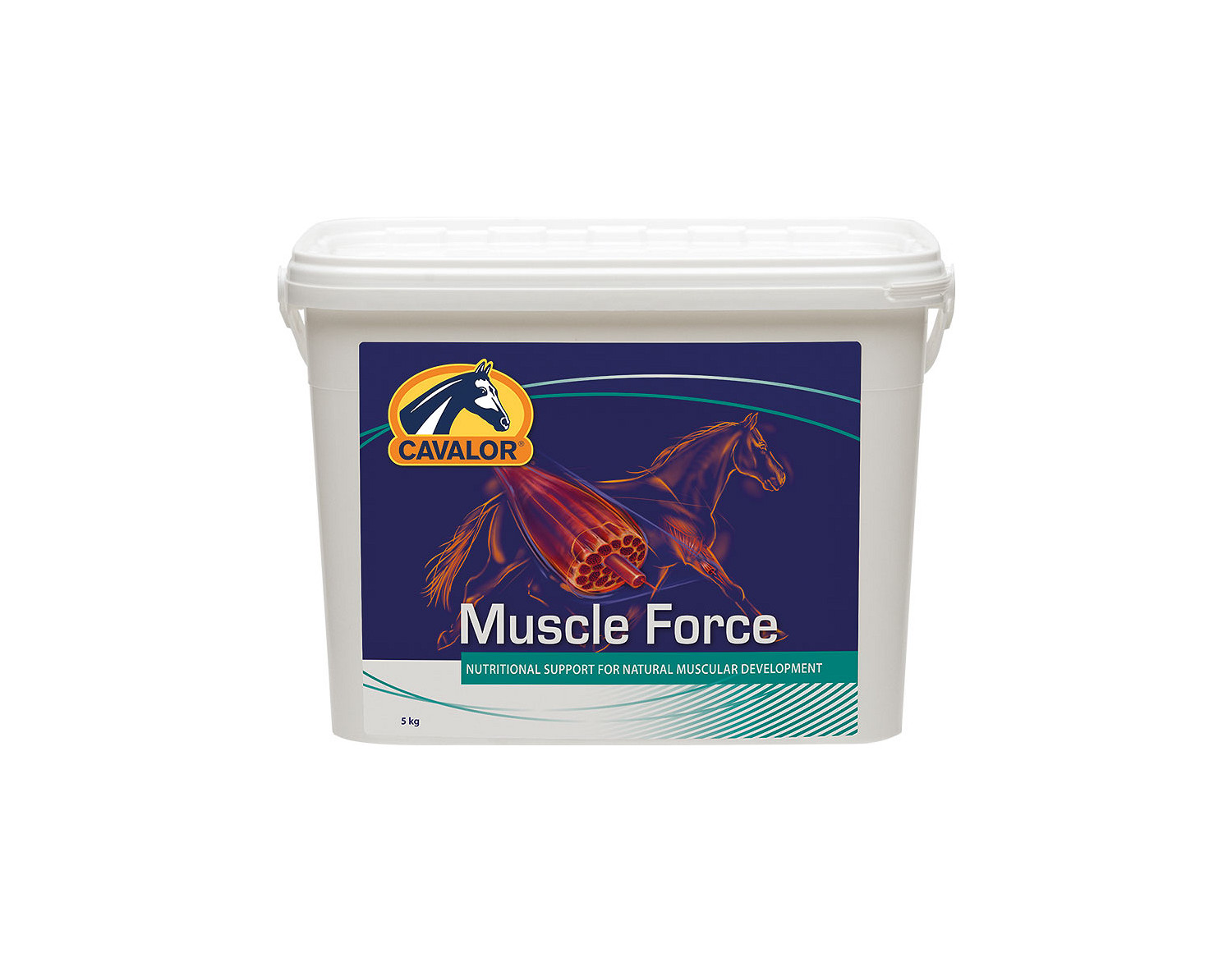 Muscle Force 5 kg