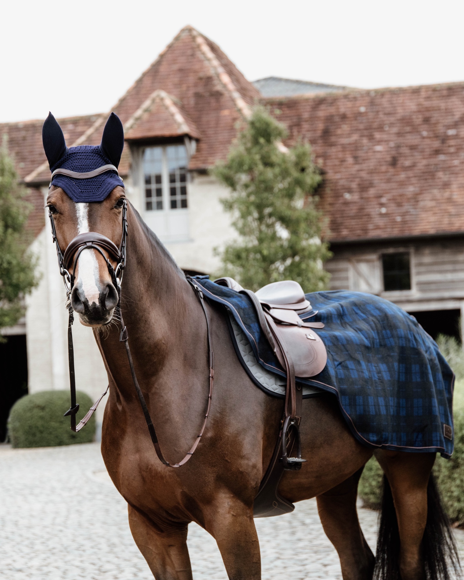Riding rug heavy fleece