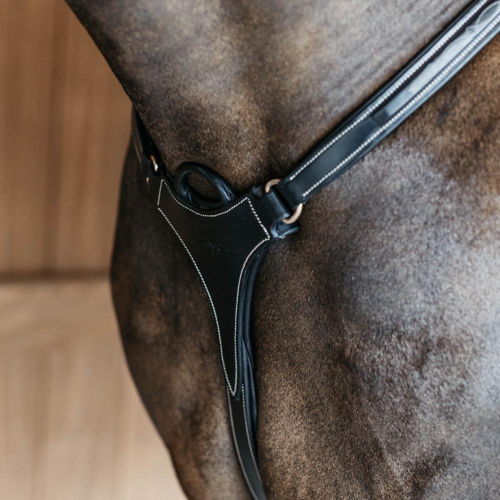 5-Punkt-Brustblatt mit Elastik | Dy'on