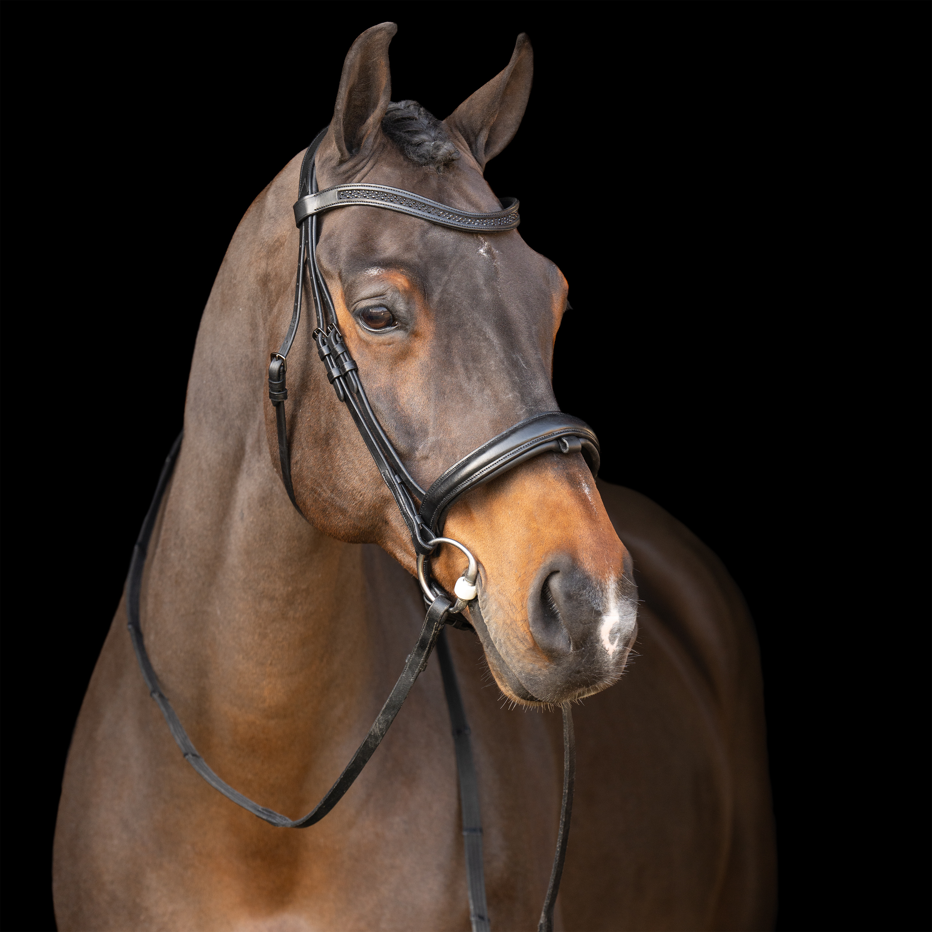 Snaffle bridle with English noseband