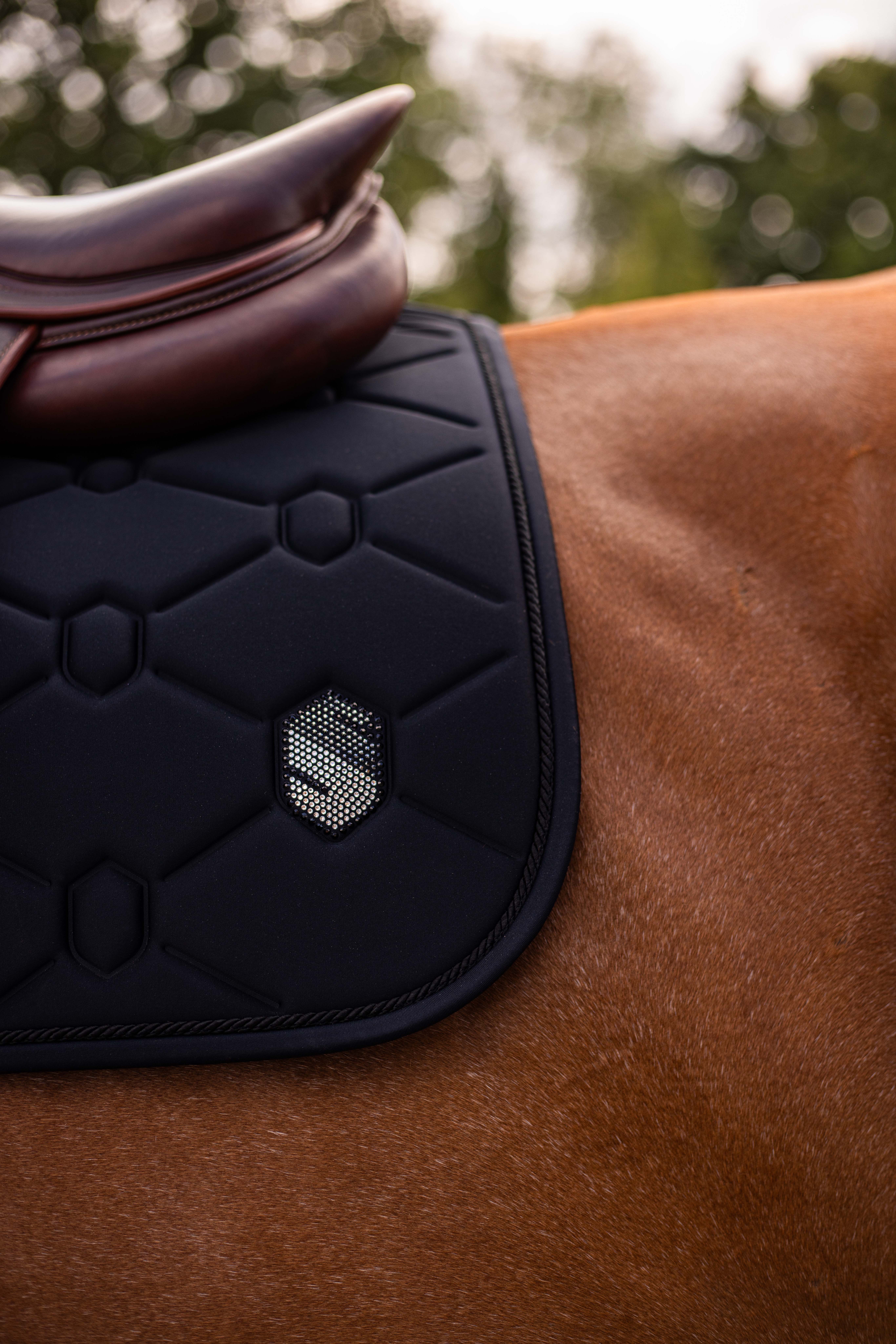 Springschabracke Swarovski