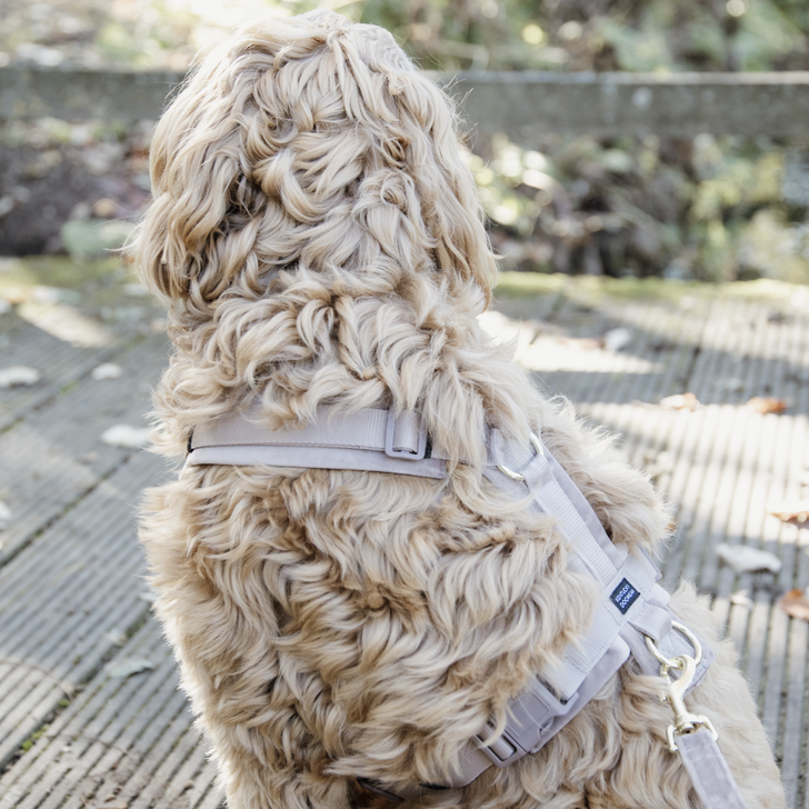 Active Velvet dog harness
