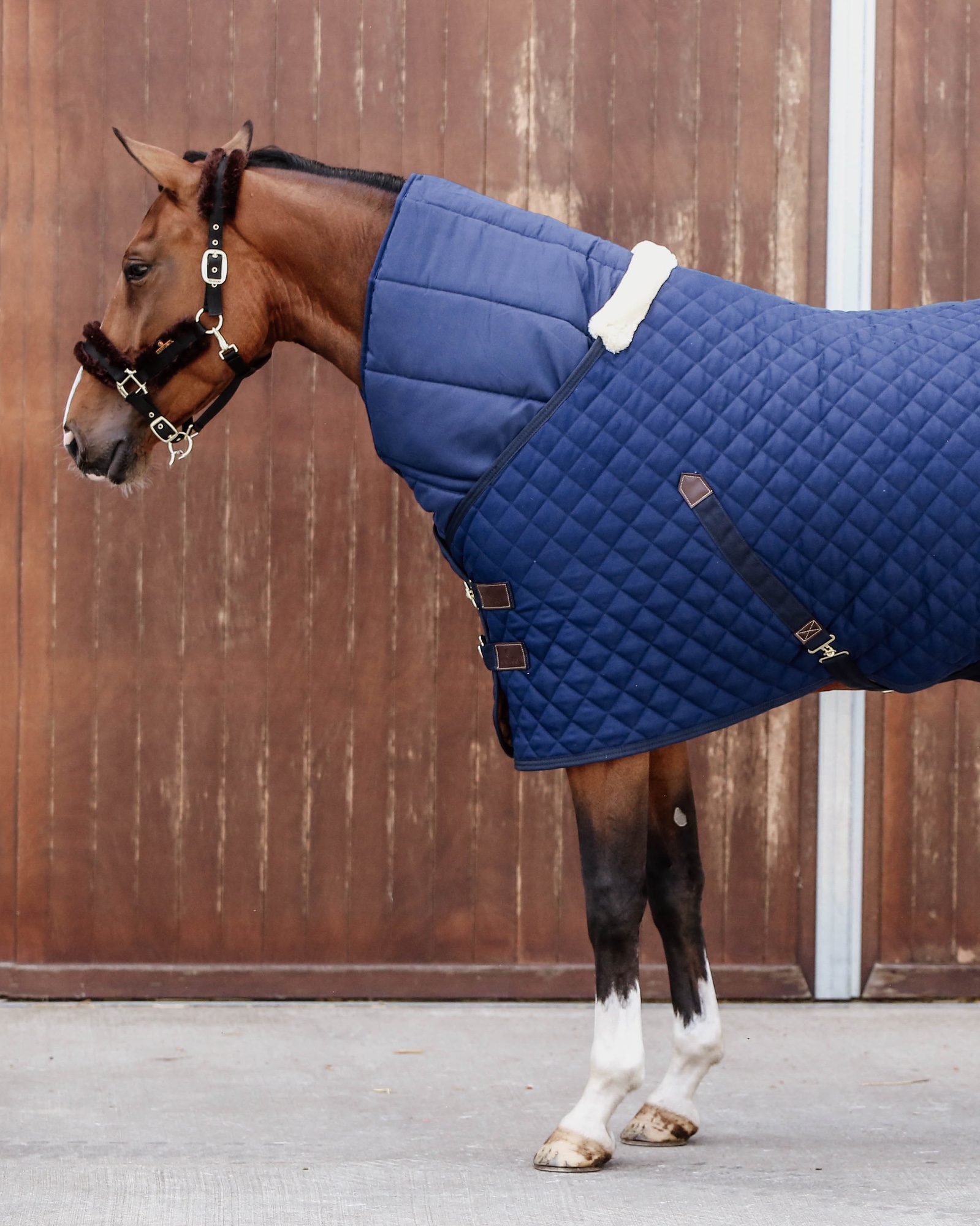 Down duvet horse 300g