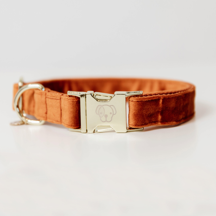 Hunde Halsband Velvet Hunde Halsband Velvet