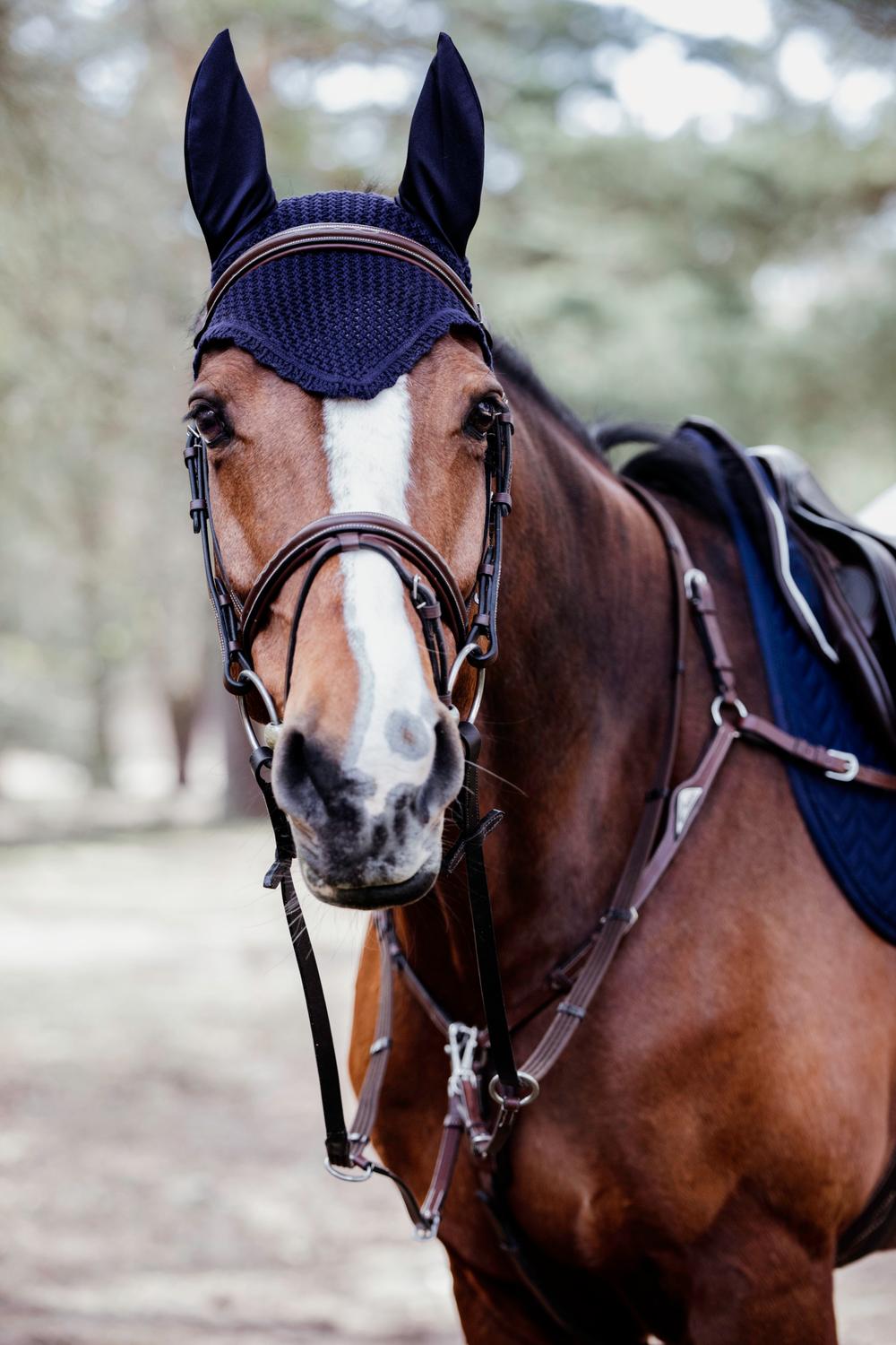 Fliegenhaube