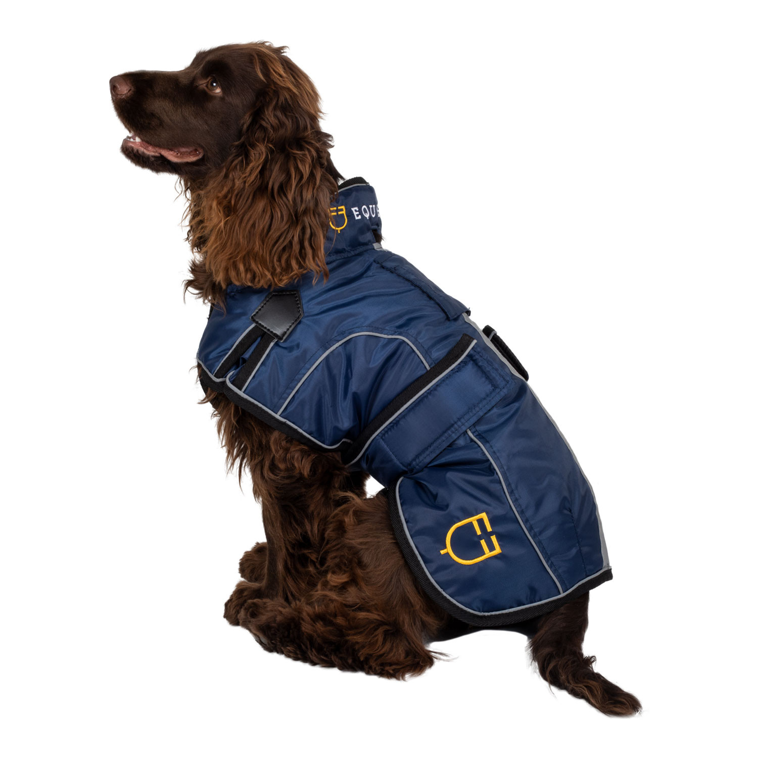 Hundedecke mit reflektierender Paspelierung