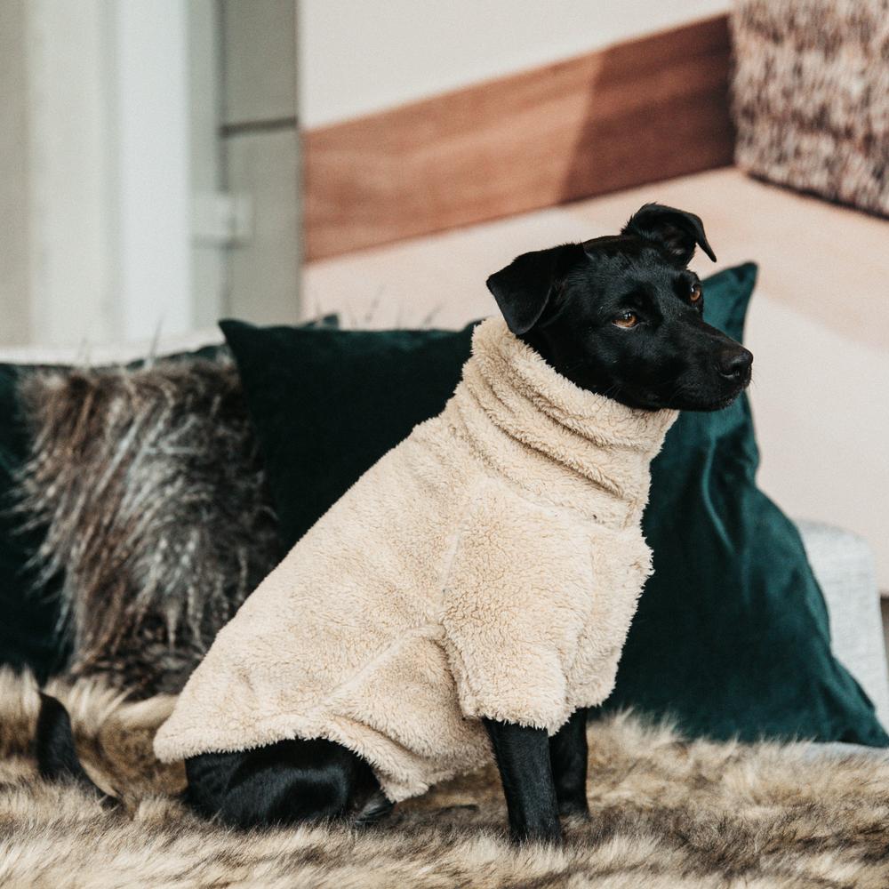 Pullover pour chien Teddy Fleece