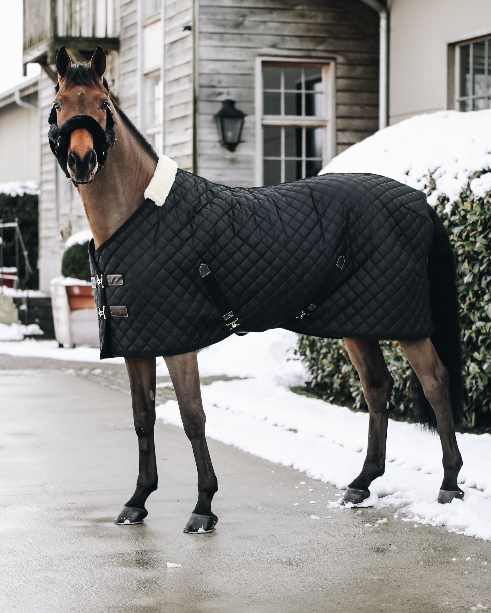 Stable rug 400g