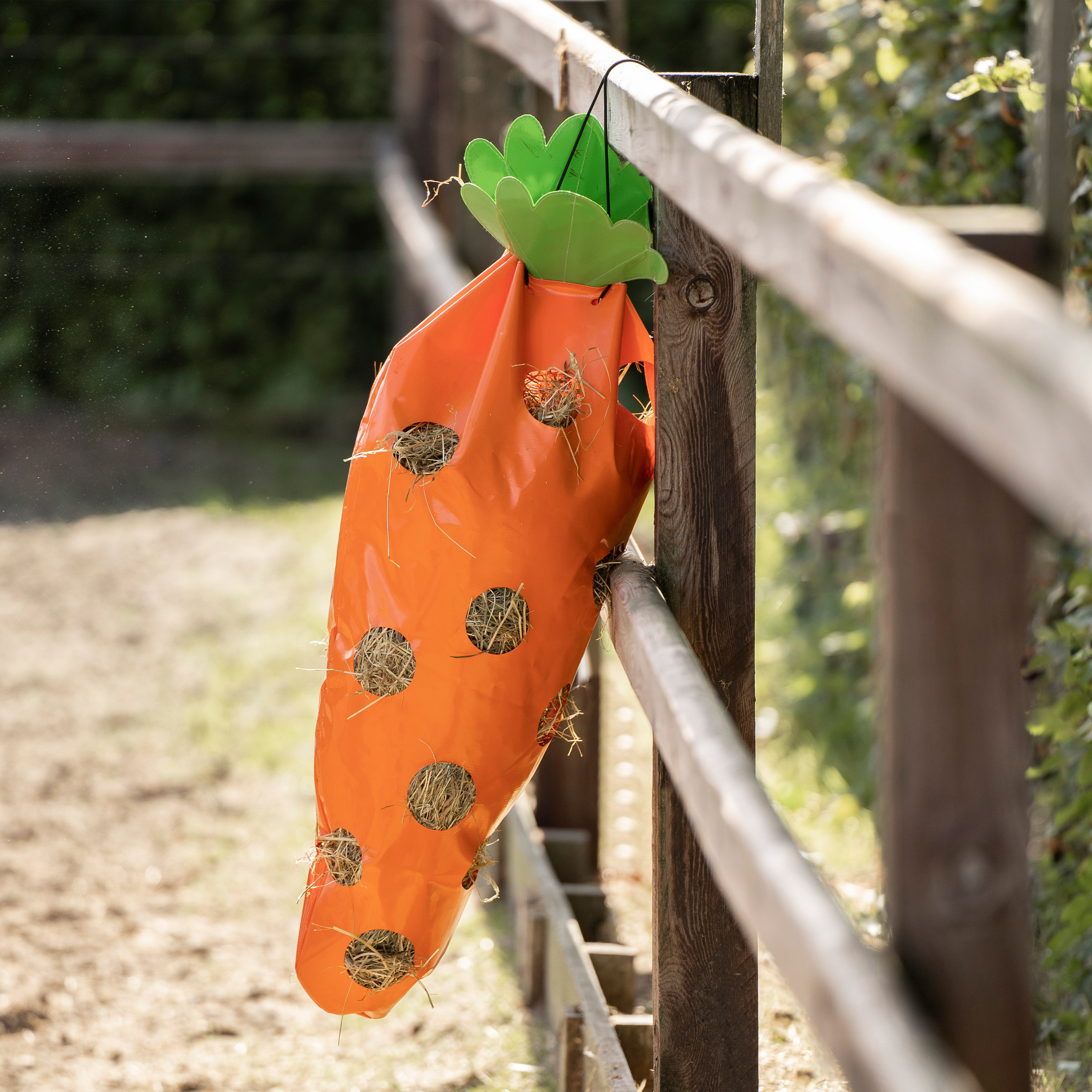 Heutasche Carrot